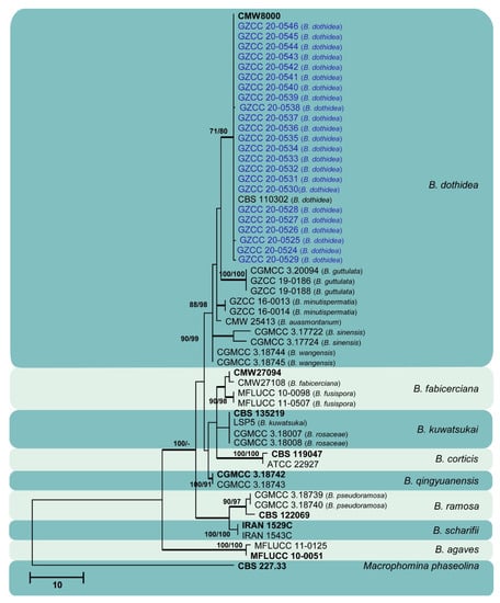 Jof 07 00893 g010 550