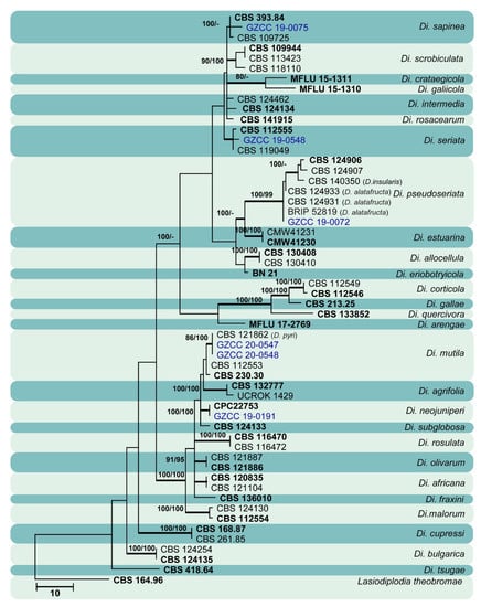 Jof 07 00893 g011 550