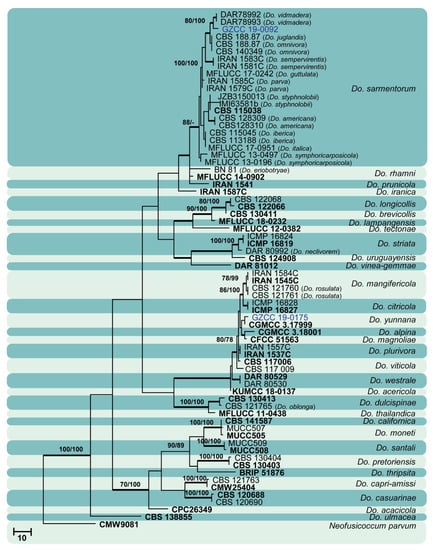 Jof 07 00893 g012 550