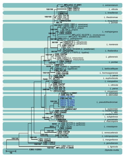 Jof 07 00893 g013 550