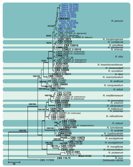 Jof 07 00893 g014 550