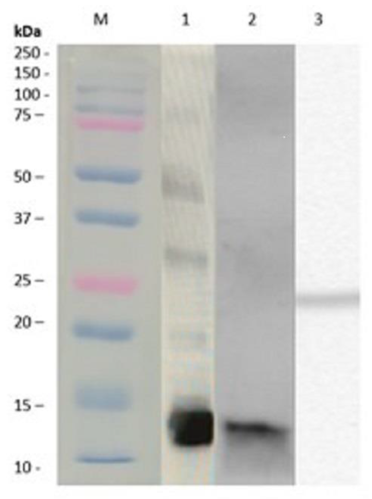 Jof 07 00896 g001 Jof 07 00896 g001
