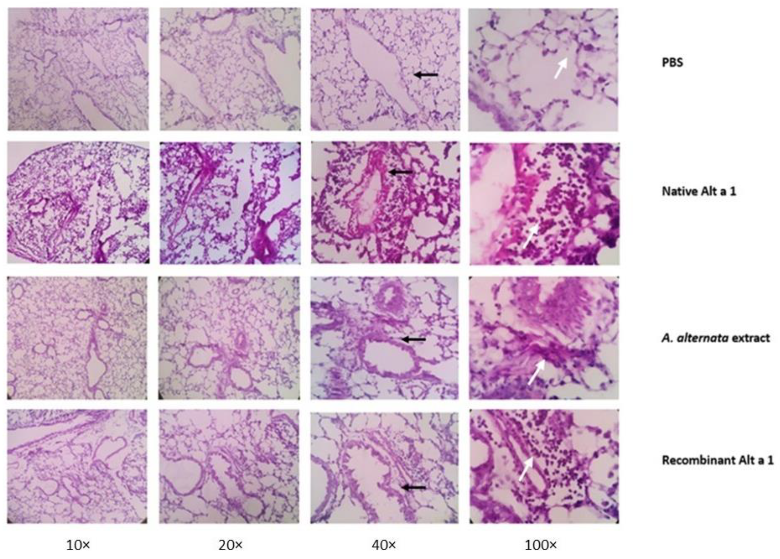 Jof 07 00896 g007 Jof 07 00896 g007