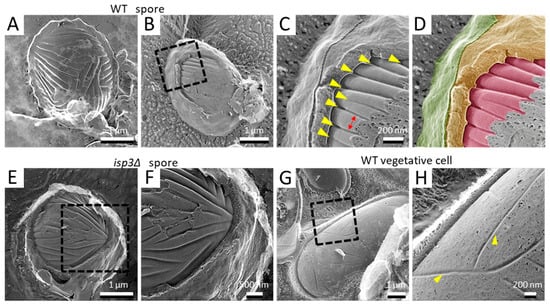Jof 07 00930 g003 550