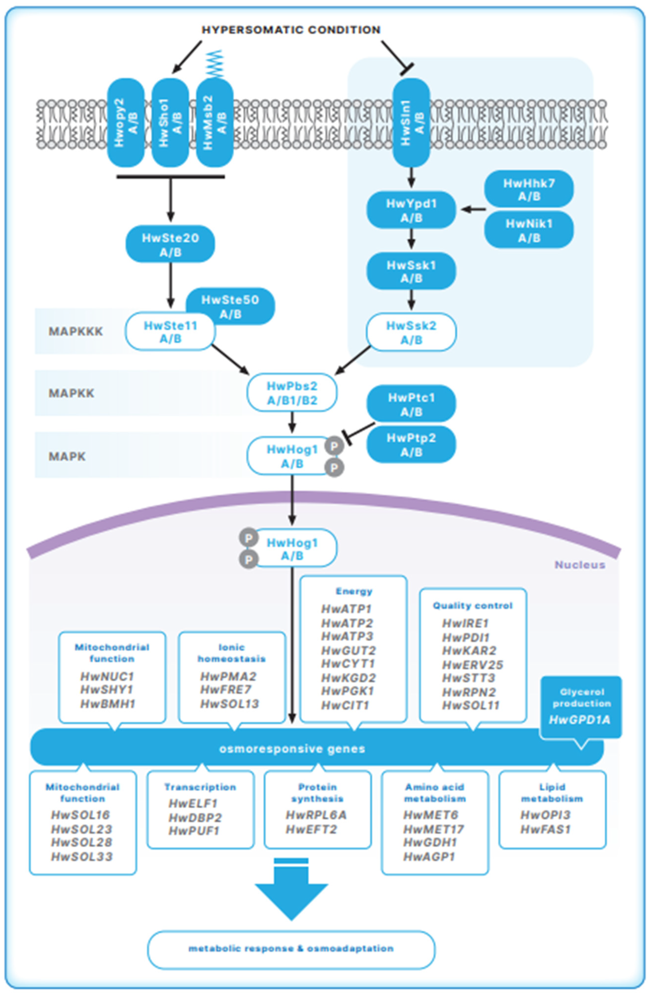 Jof 07 00988 g001 Jof 07 00988 g001