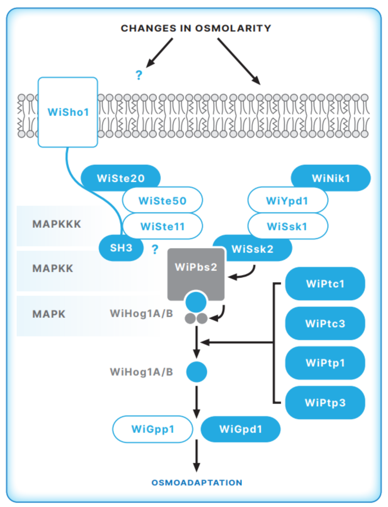 Jof 07 00988 g002 Jof 07 00988 g002
