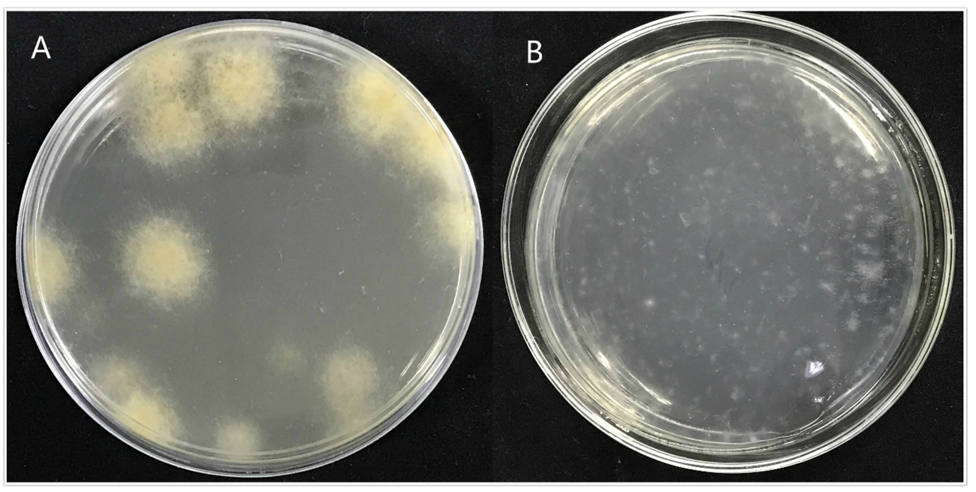 Jof 07 01001 g009 Jof 07 01001 g009