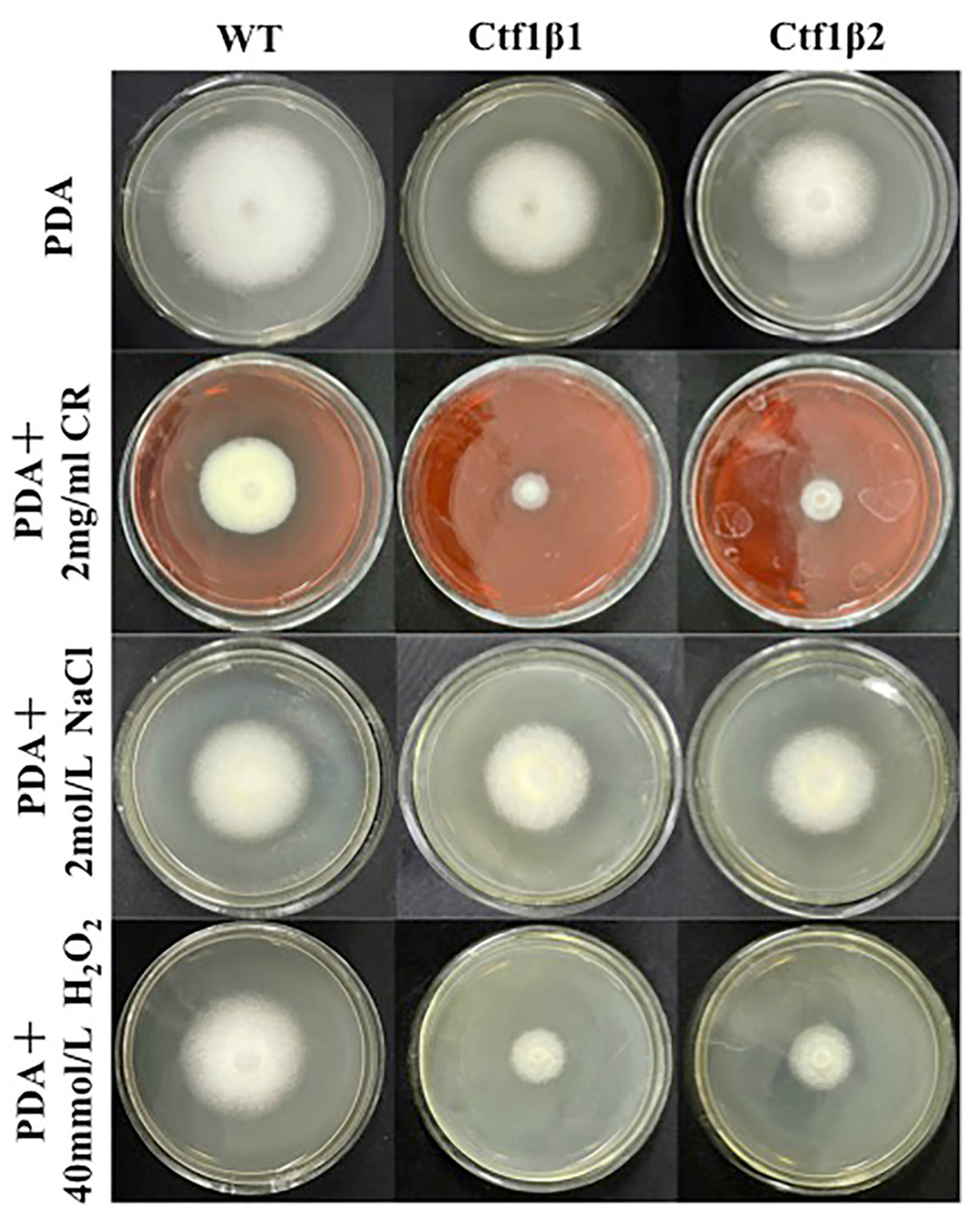 Jof 07 01001 g011 Jof 07 01001 g011