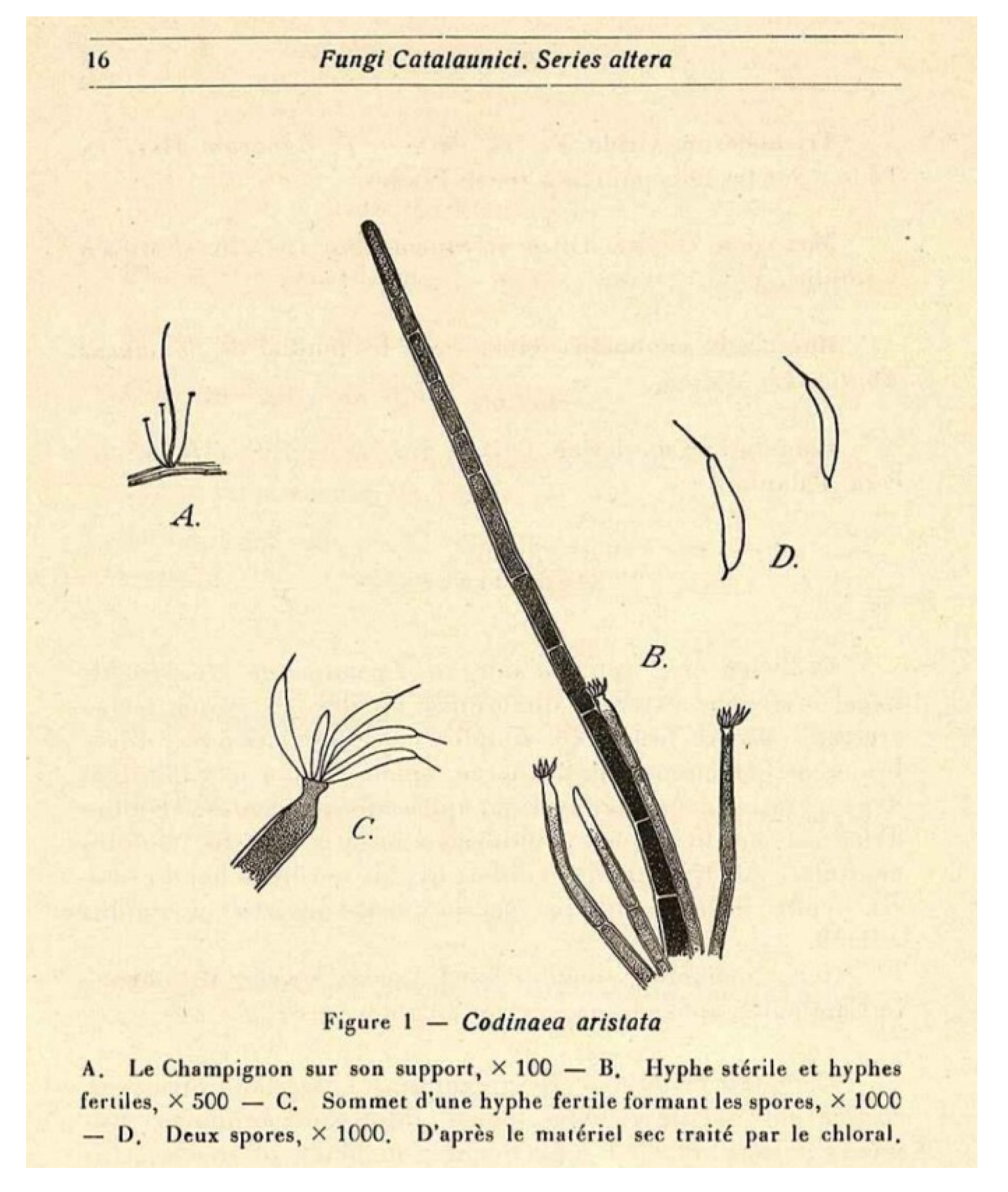 Jof 07 01097 g001 Jof 07 01097 g001