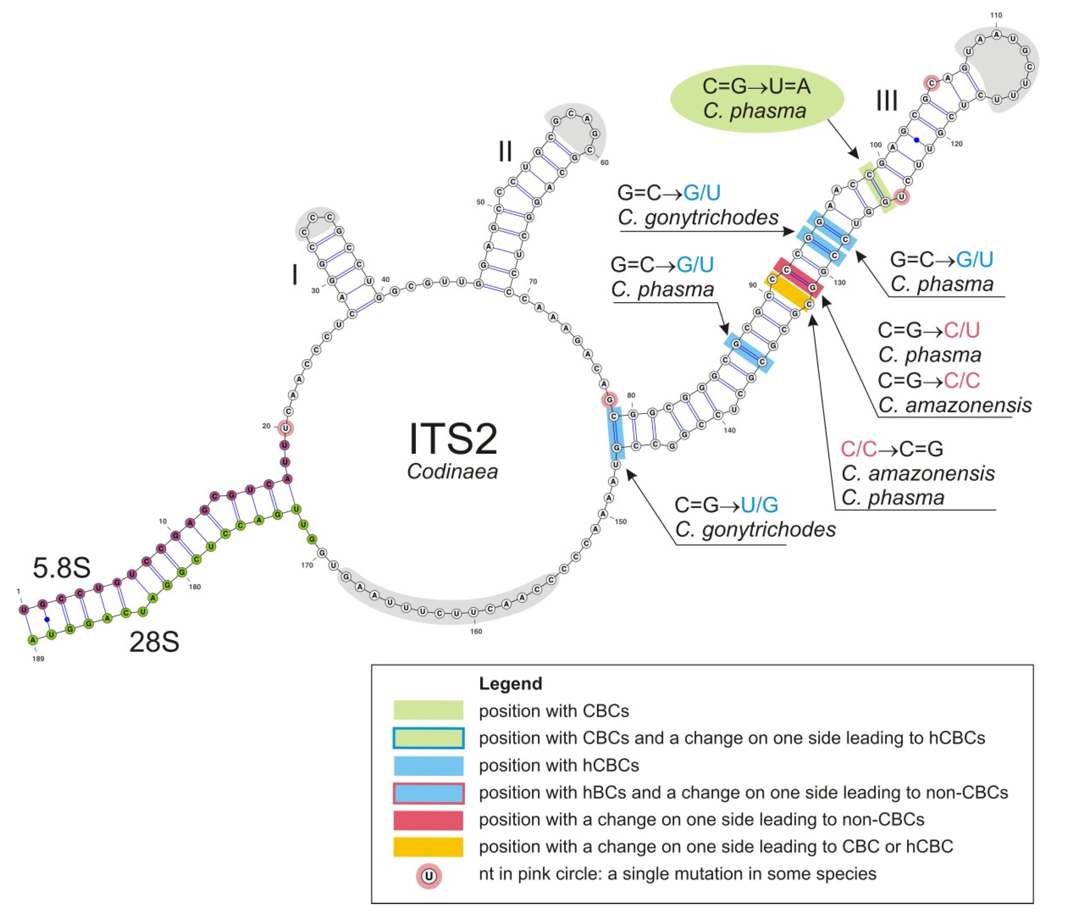 Jof 07 01097 g004 Jof 07 01097 g004