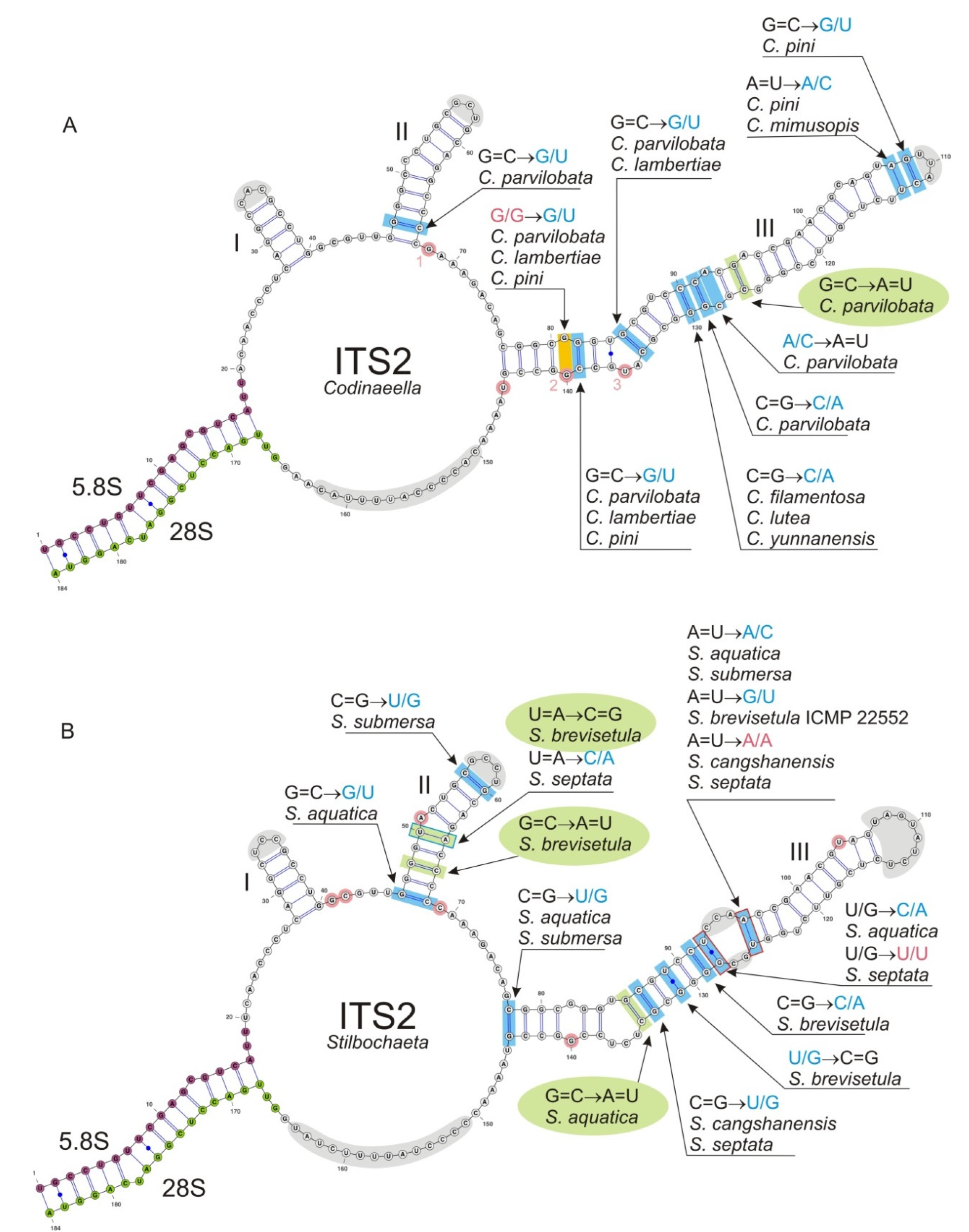 Jof 07 01097 g005 Jof 07 01097 g005