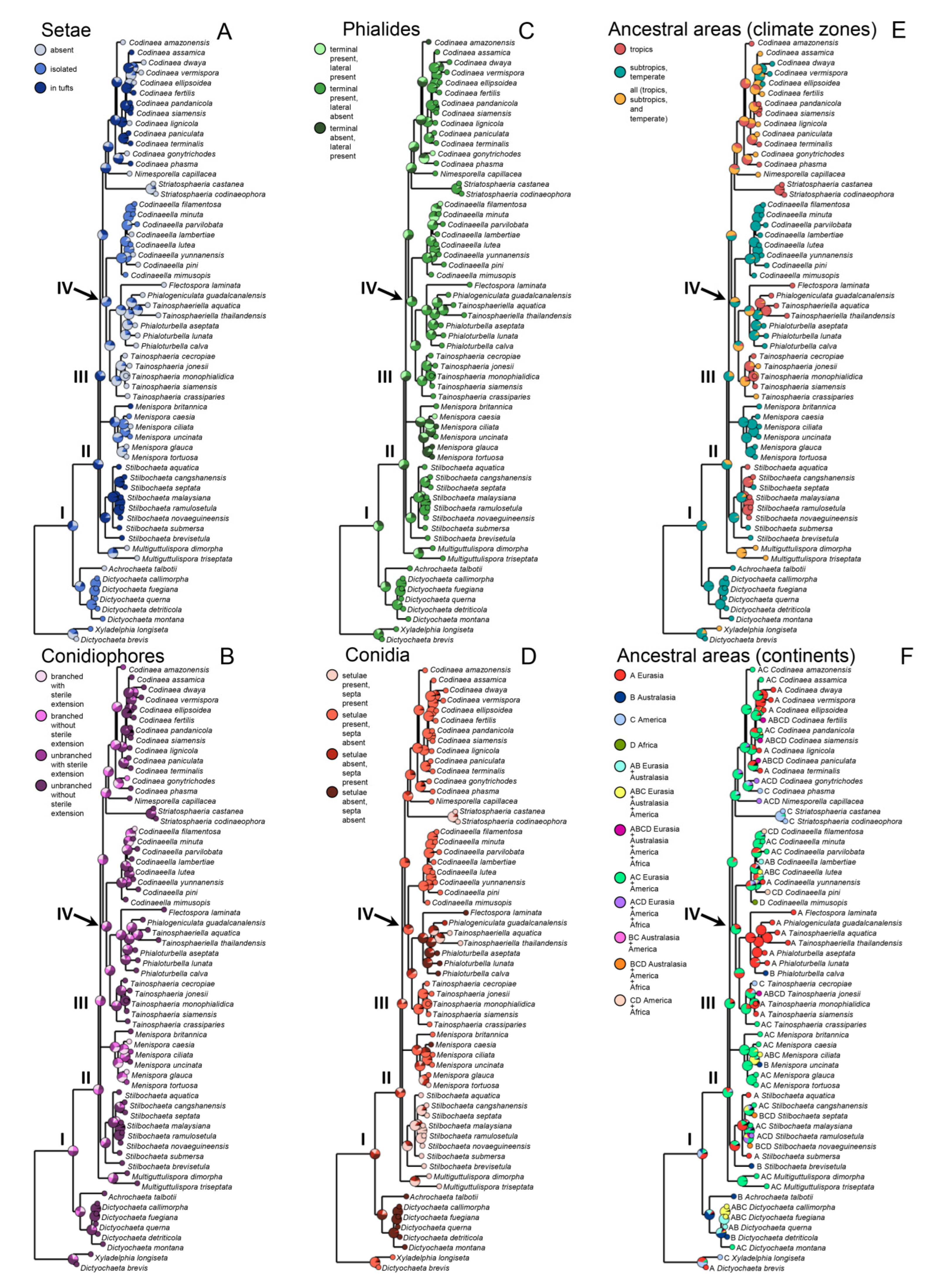 Jof 07 01097 g006 Jof 07 01097 g006