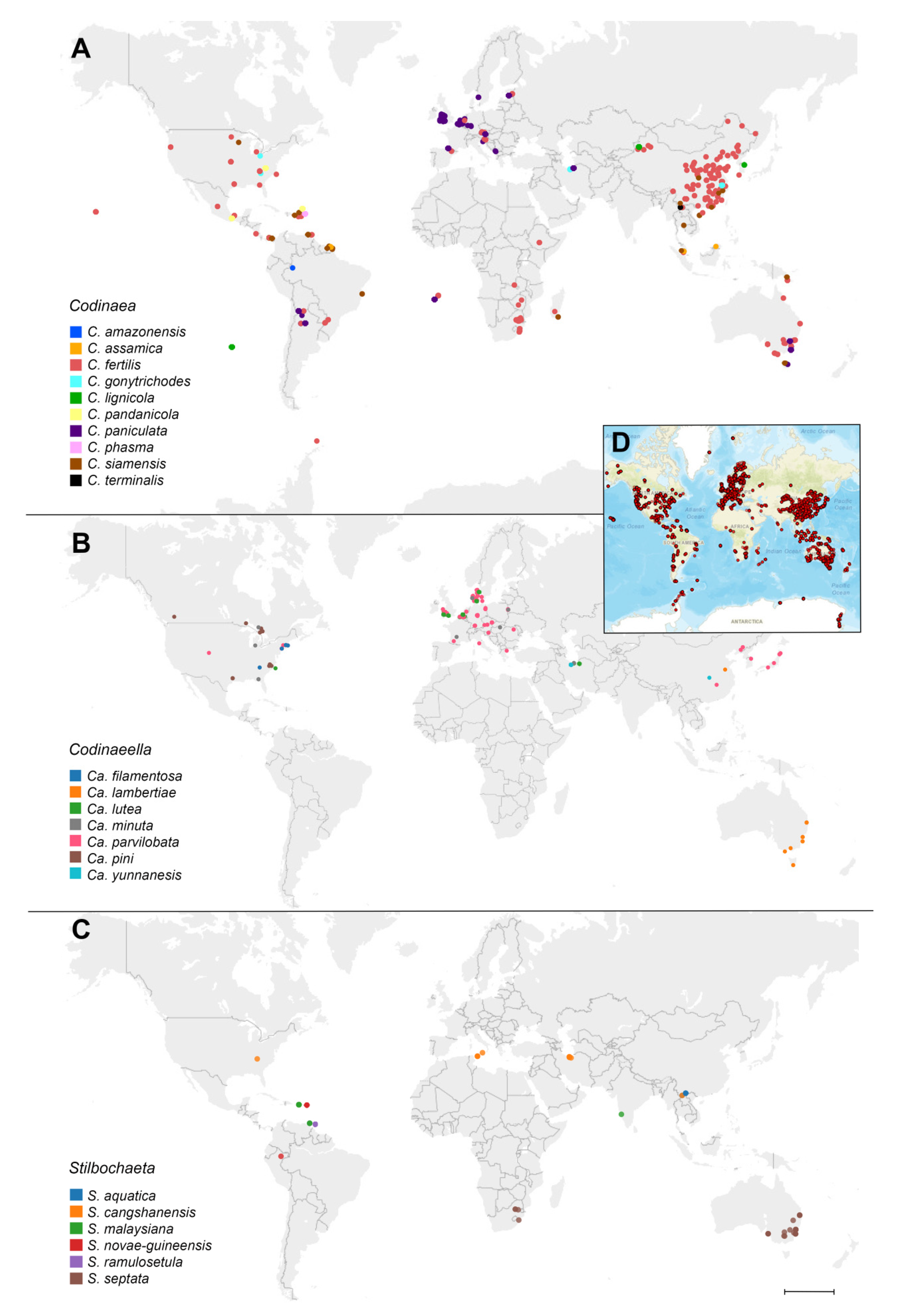 Jof 07 01097 g007 Jof 07 01097 g007