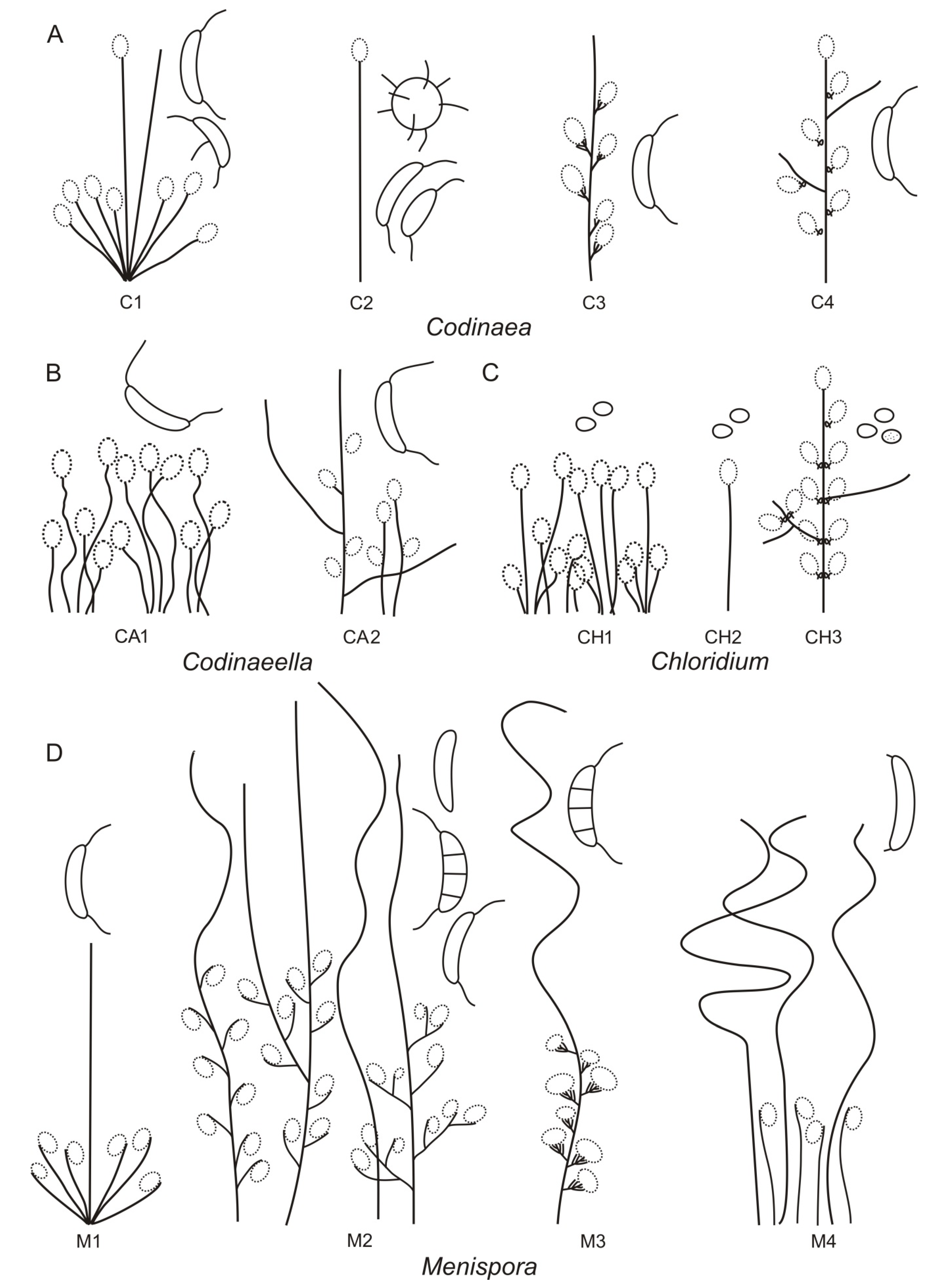 Jof 07 01097 g008 Jof 07 01097 g008
