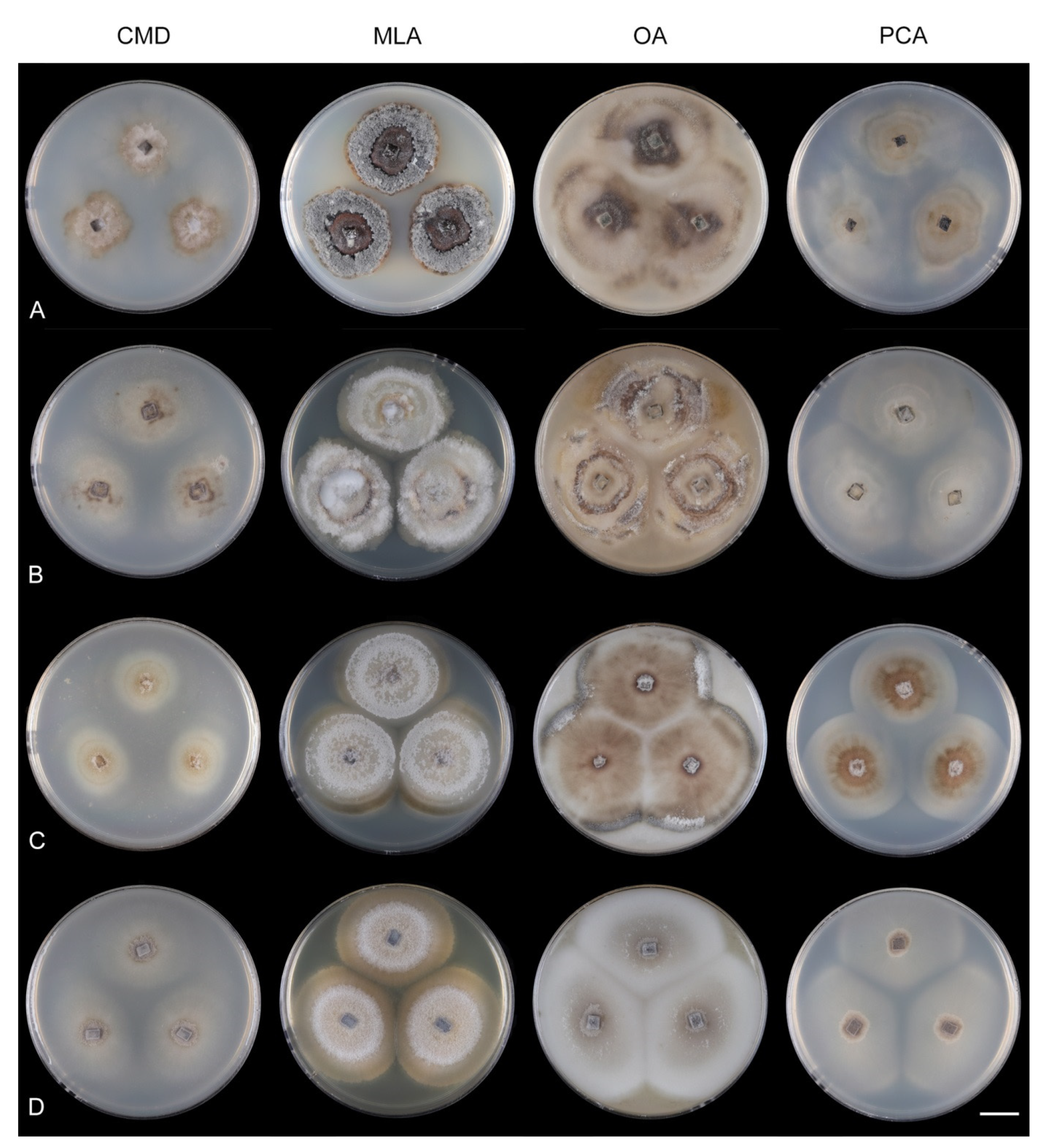 Jof 07 01097 g022 Jof 07 01097 g022