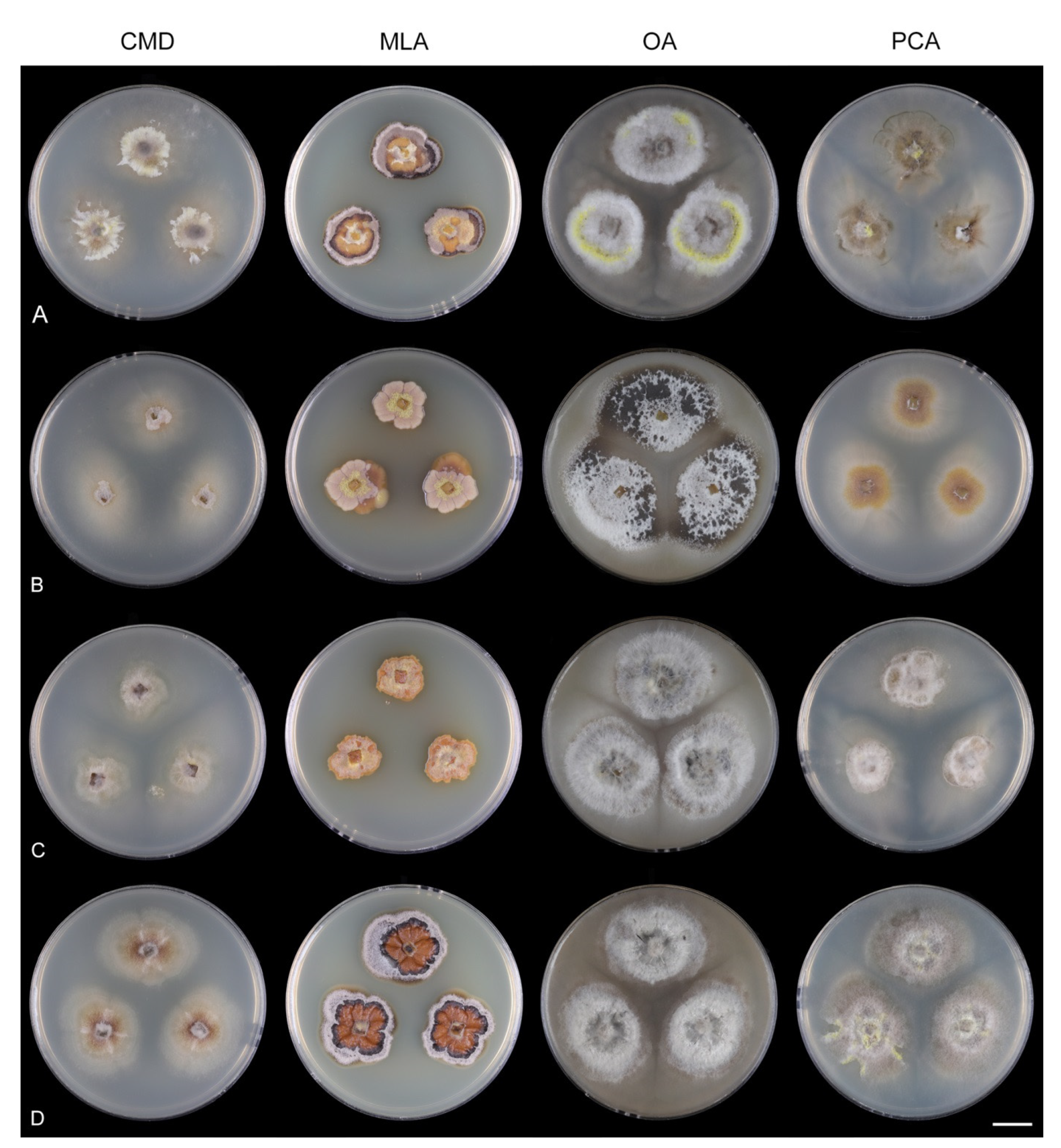 Jof 07 01097 g025 Jof 07 01097 g025