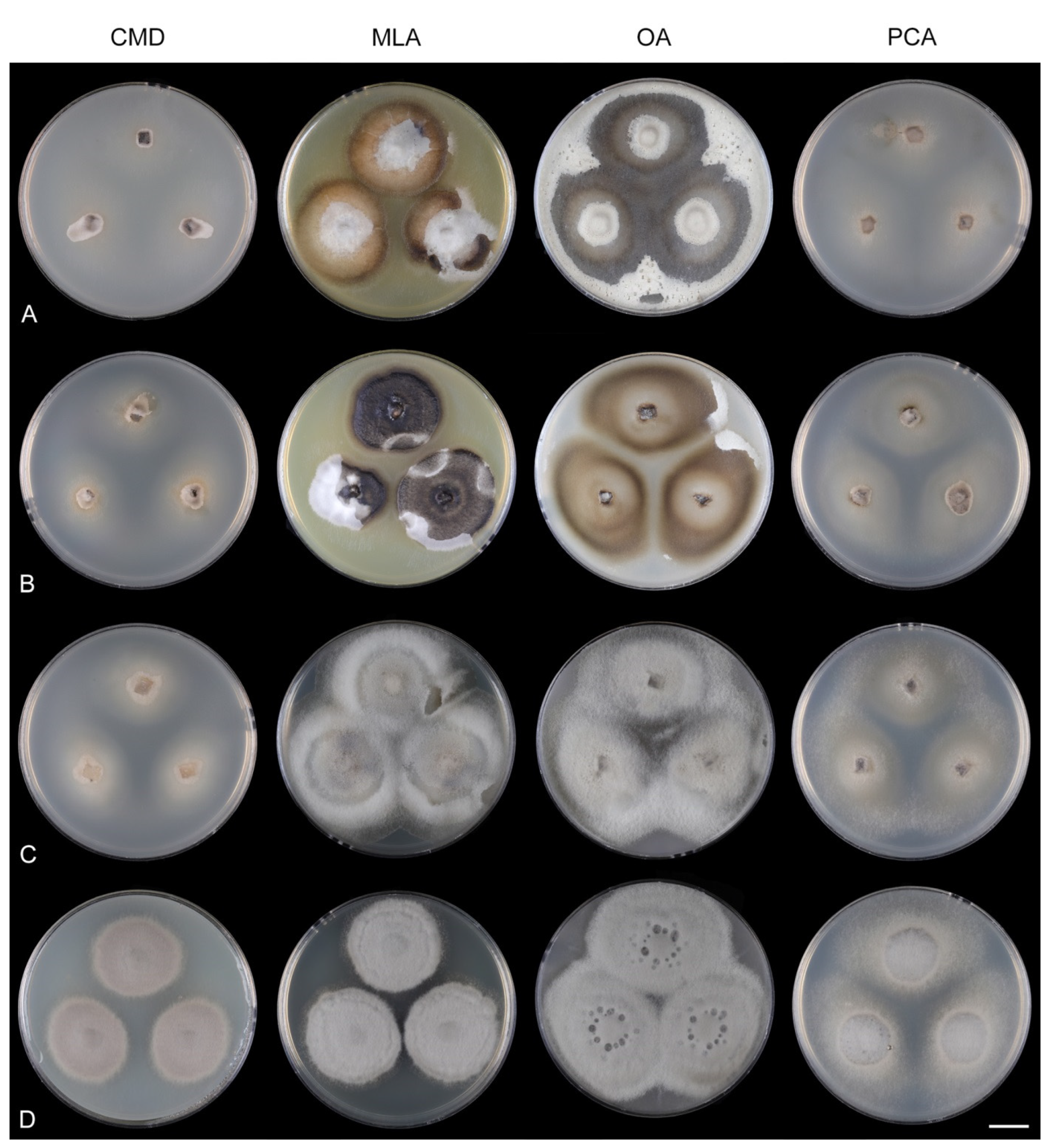 Jof 07 01097 g030 Jof 07 01097 g030