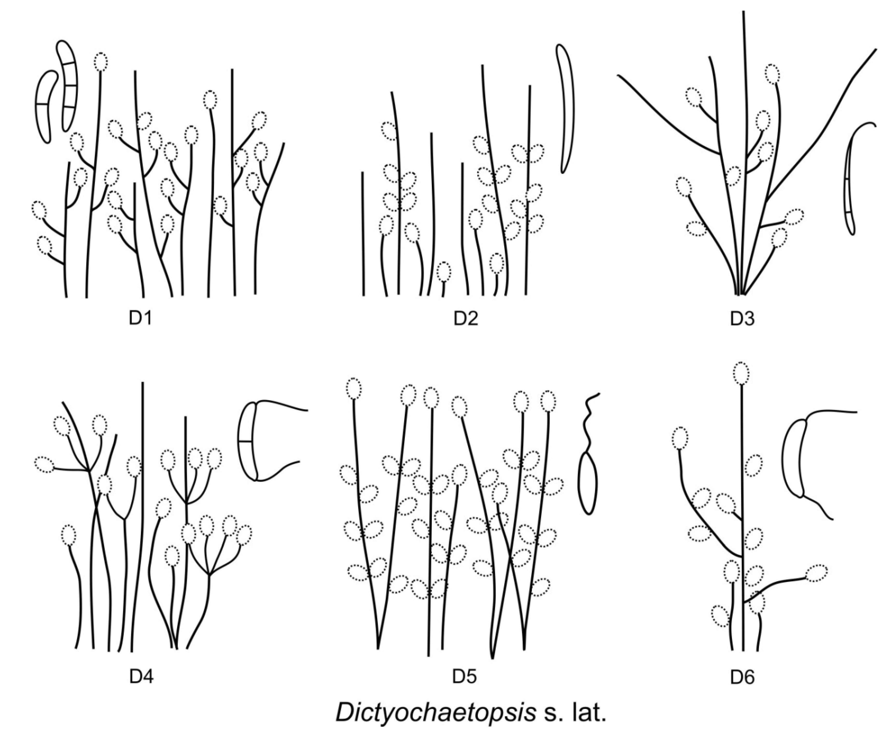 Jof 07 01097 g048 Jof 07 01097 g048