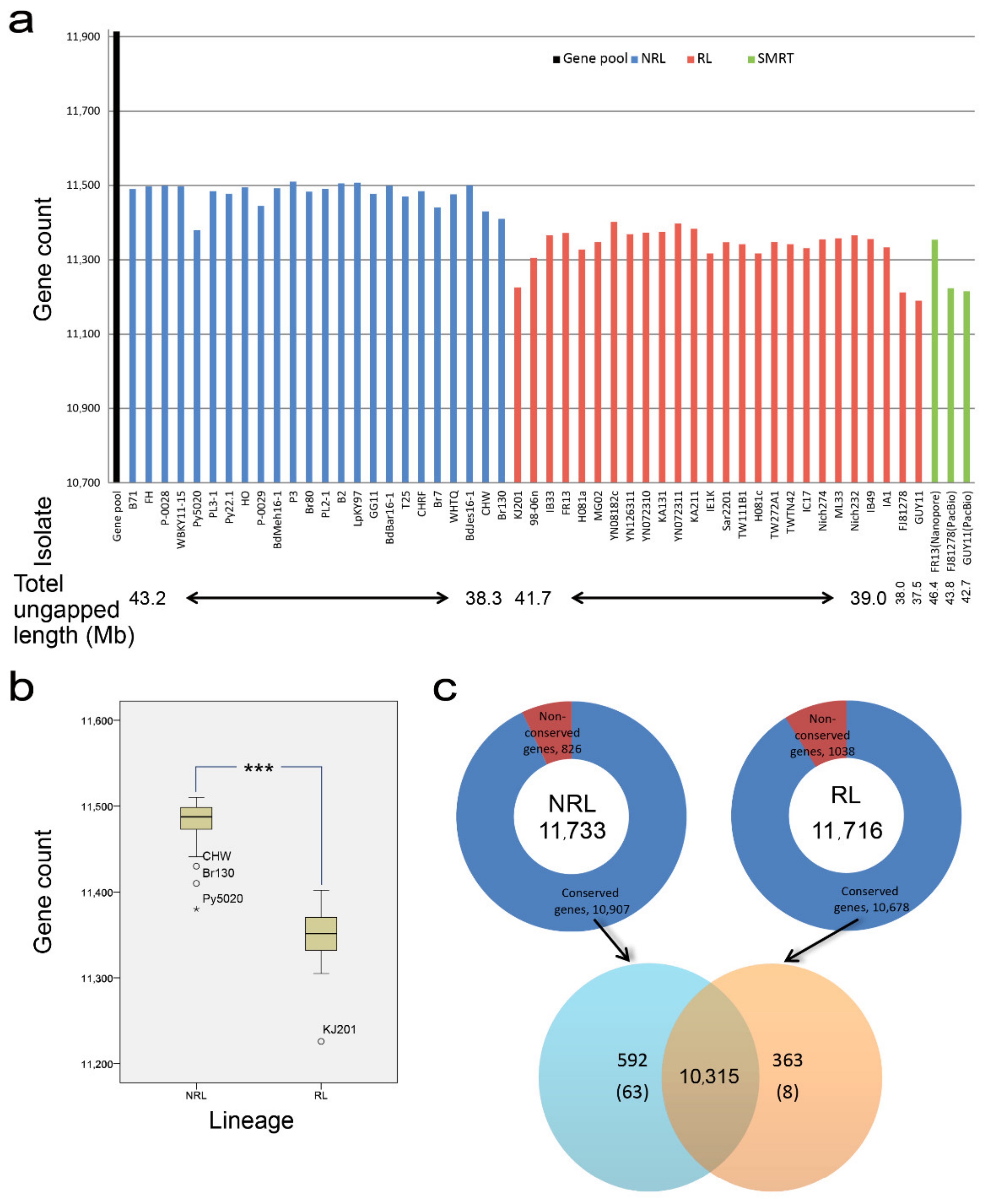 Jof 08 00005 g004 Jof 08 00005 g004