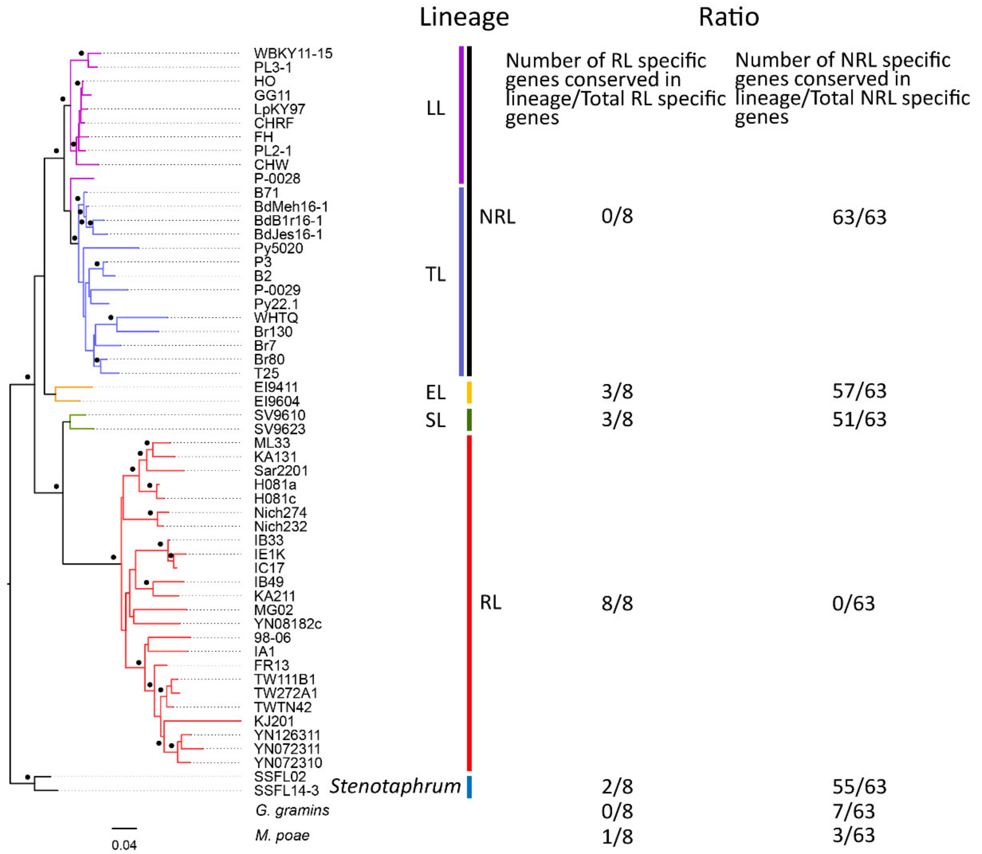 Jof 08 00005 g005 Jof 08 00005 g005