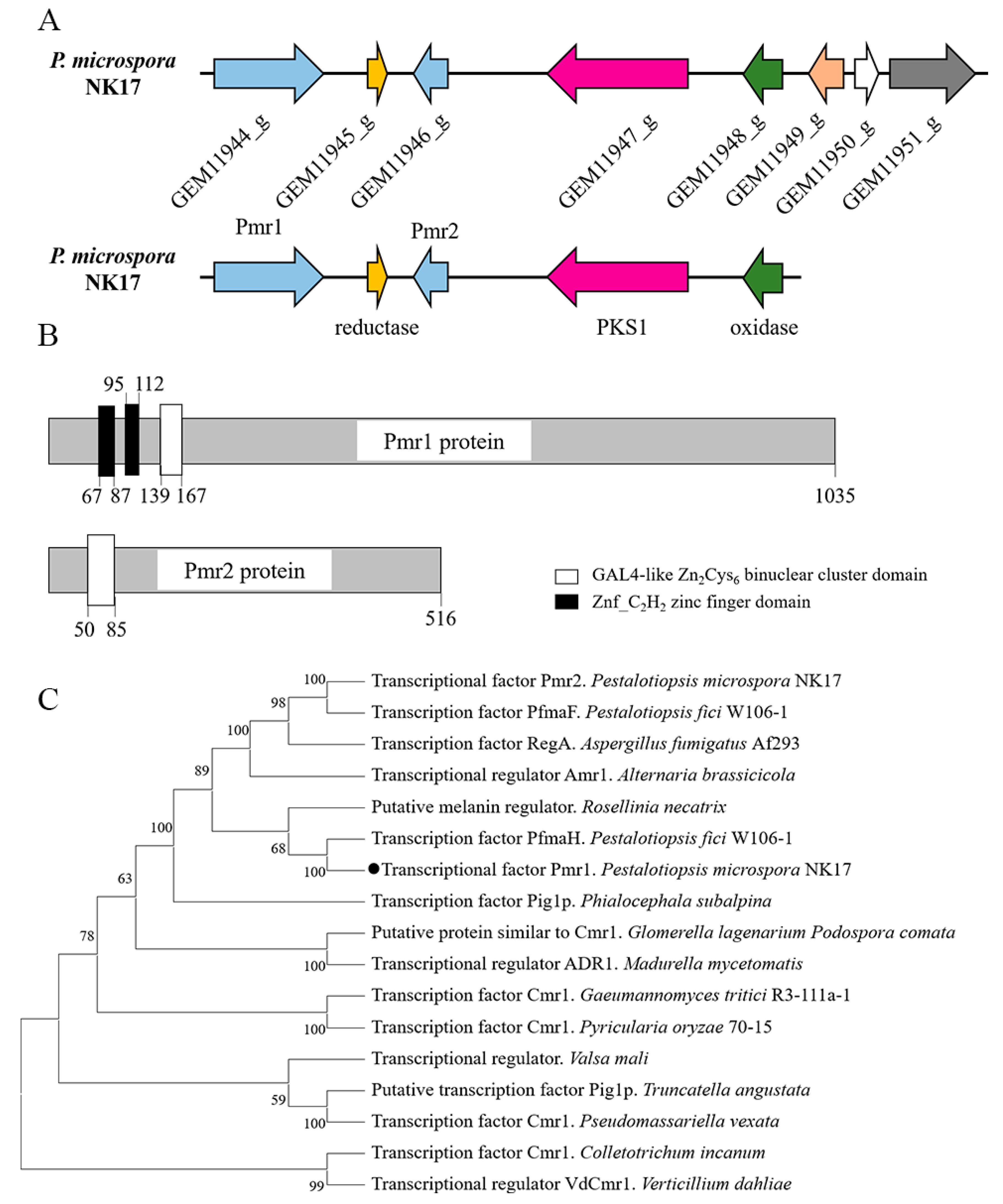 Jof 08 00038 g001 Jof 08 00038 g001