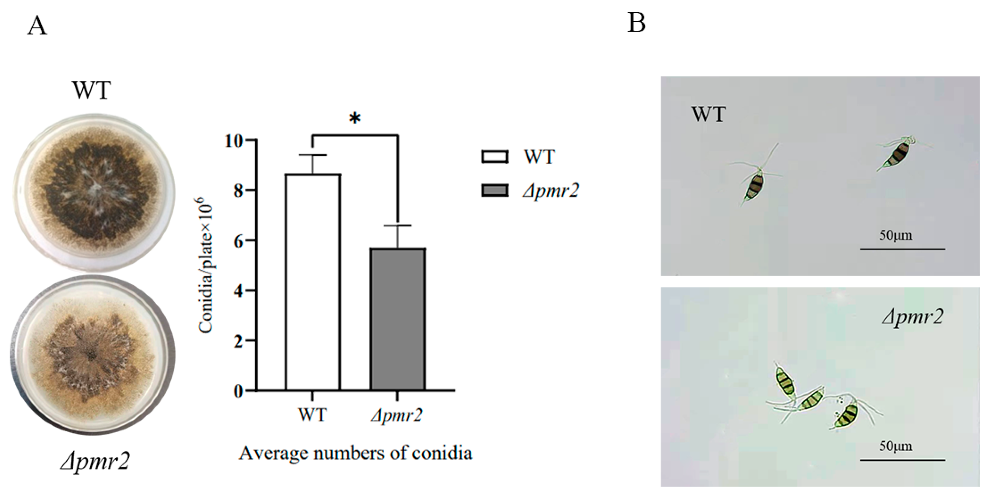 Jof 08 00038 g004 Jof 08 00038 g004