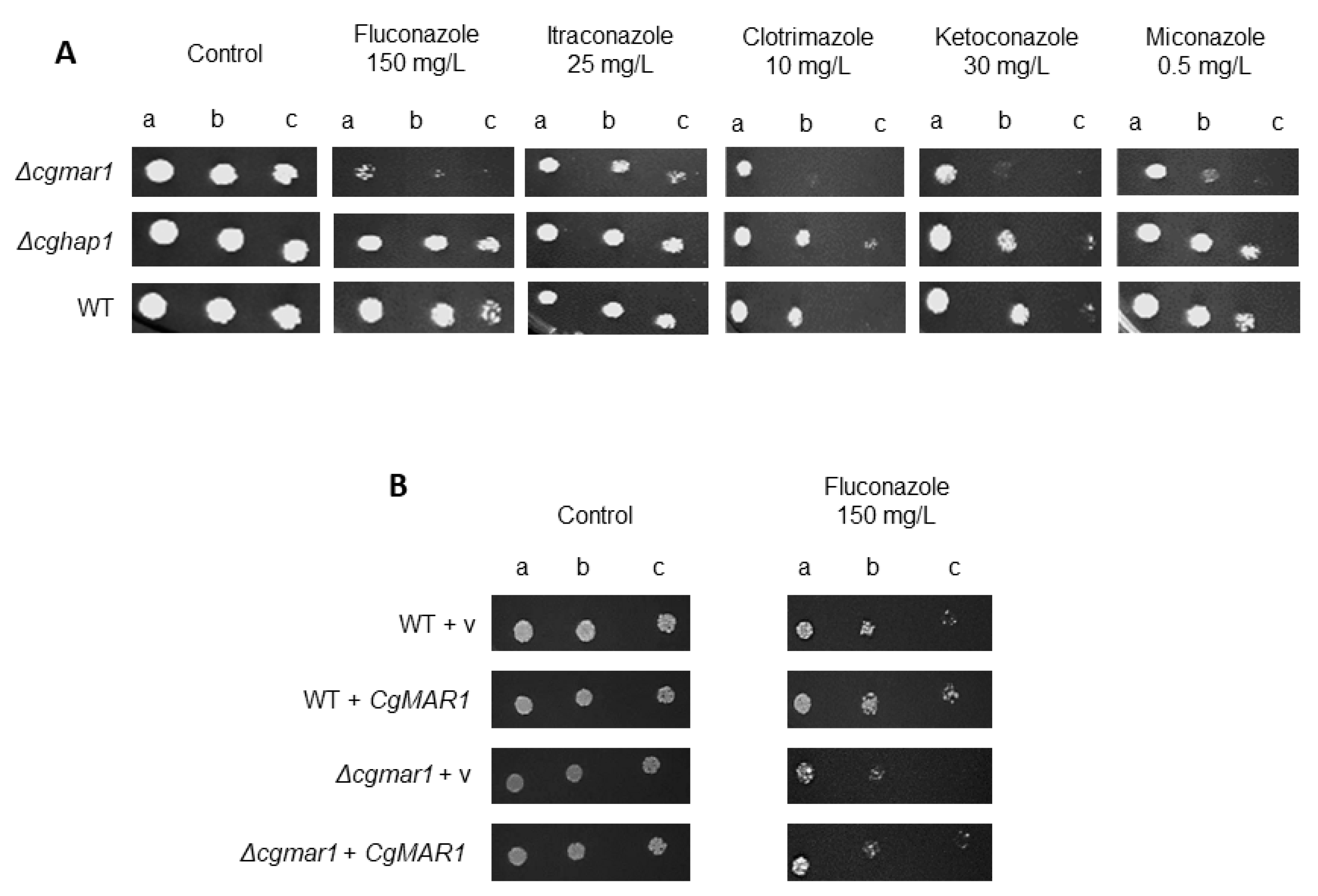 Jof 08 00061 g001 Jof 08 00061 g001