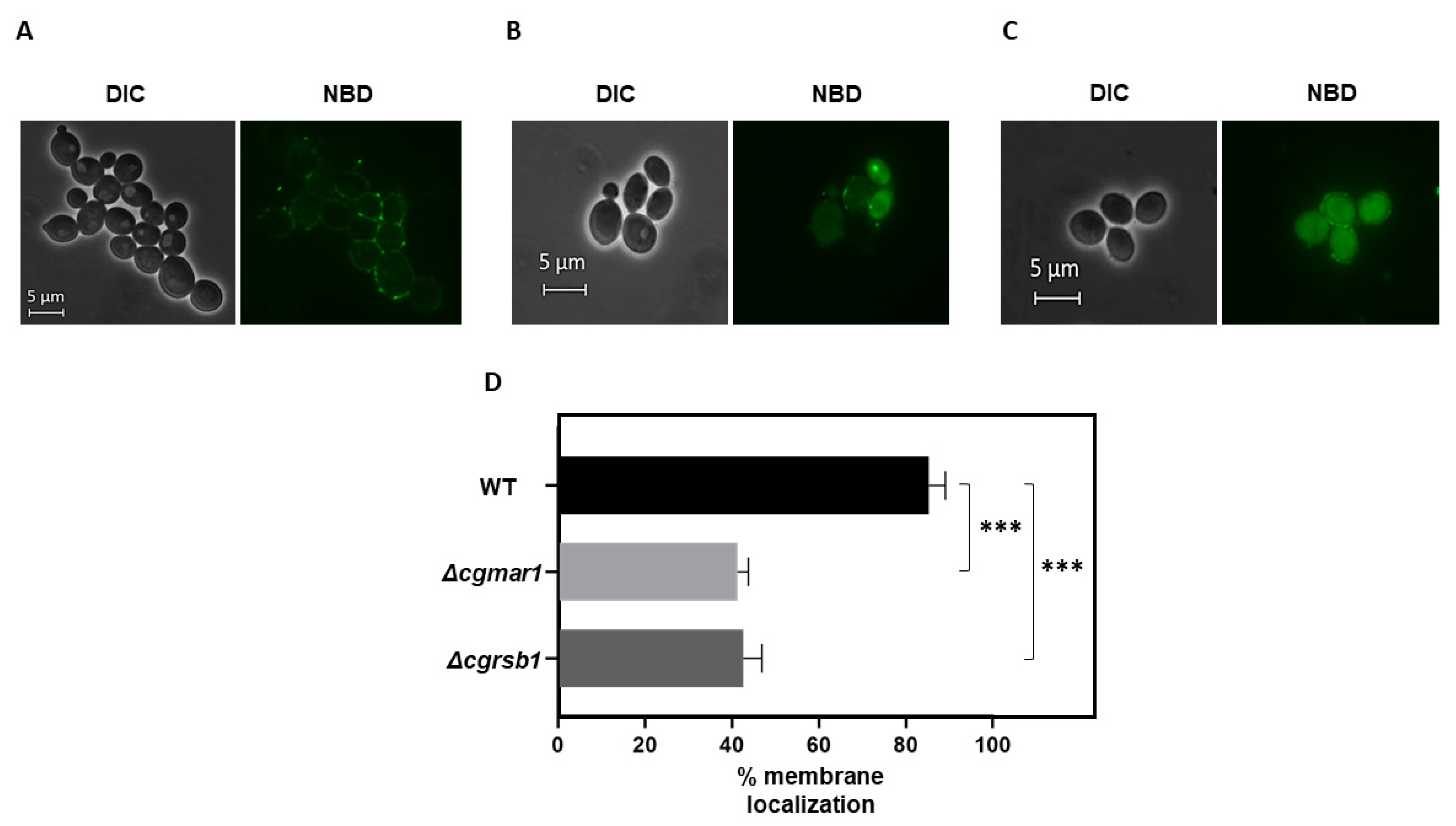 Jof 08 00061 g003 Jof 08 00061 g003