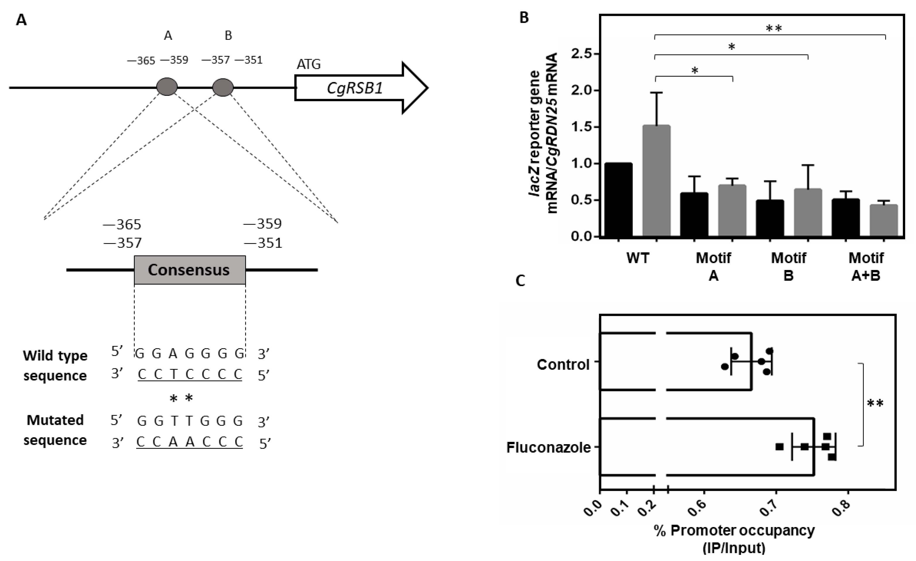 Jof 08 00061 g005 Jof 08 00061 g005