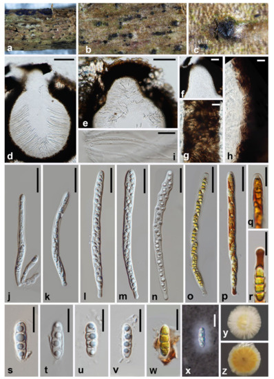 Jof 08 00076 g004 550