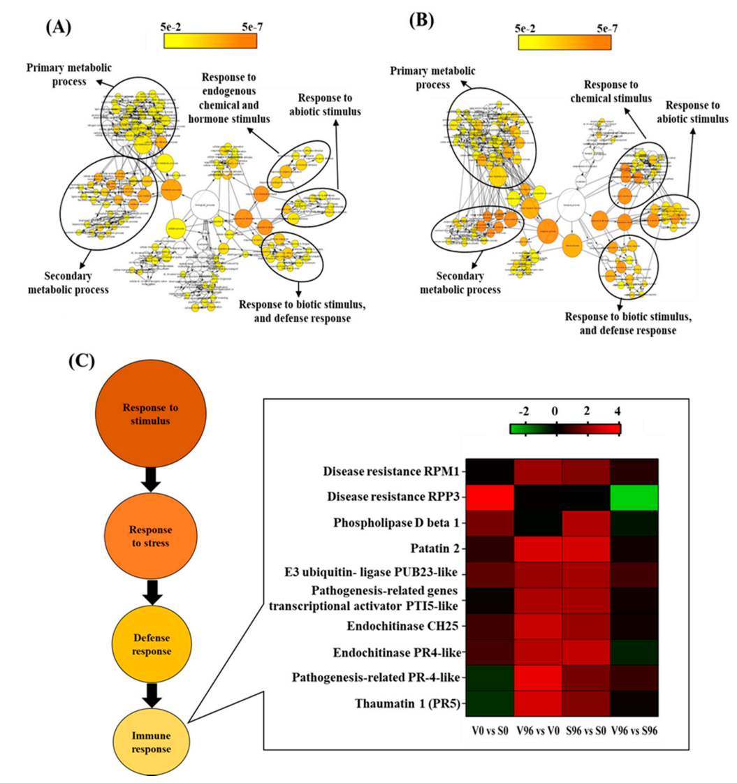 Jof 08 00120 g004 Jof 08 00120 g004