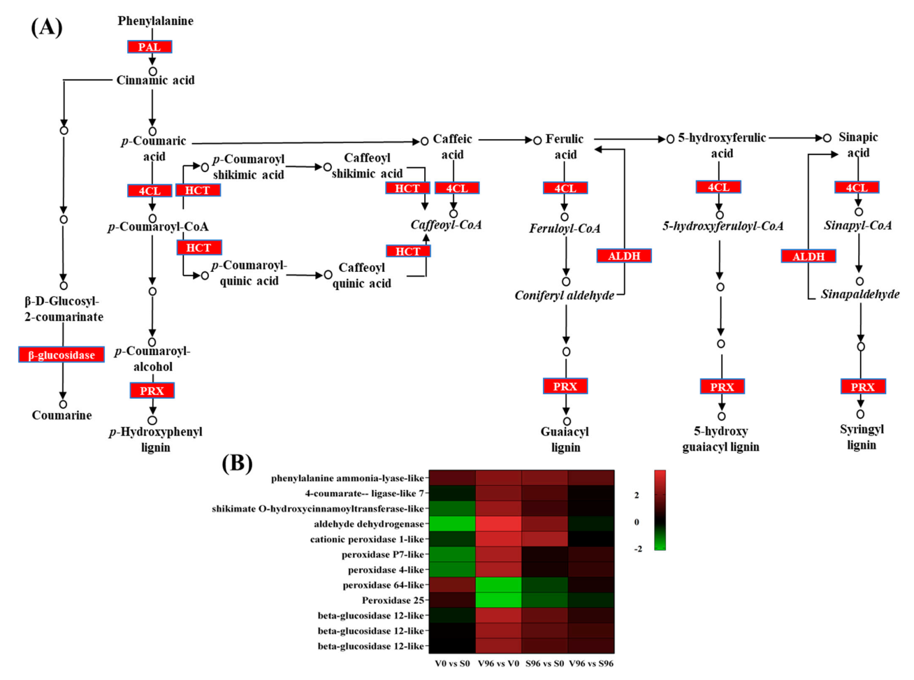Jof 08 00120 g006 Jof 08 00120 g006