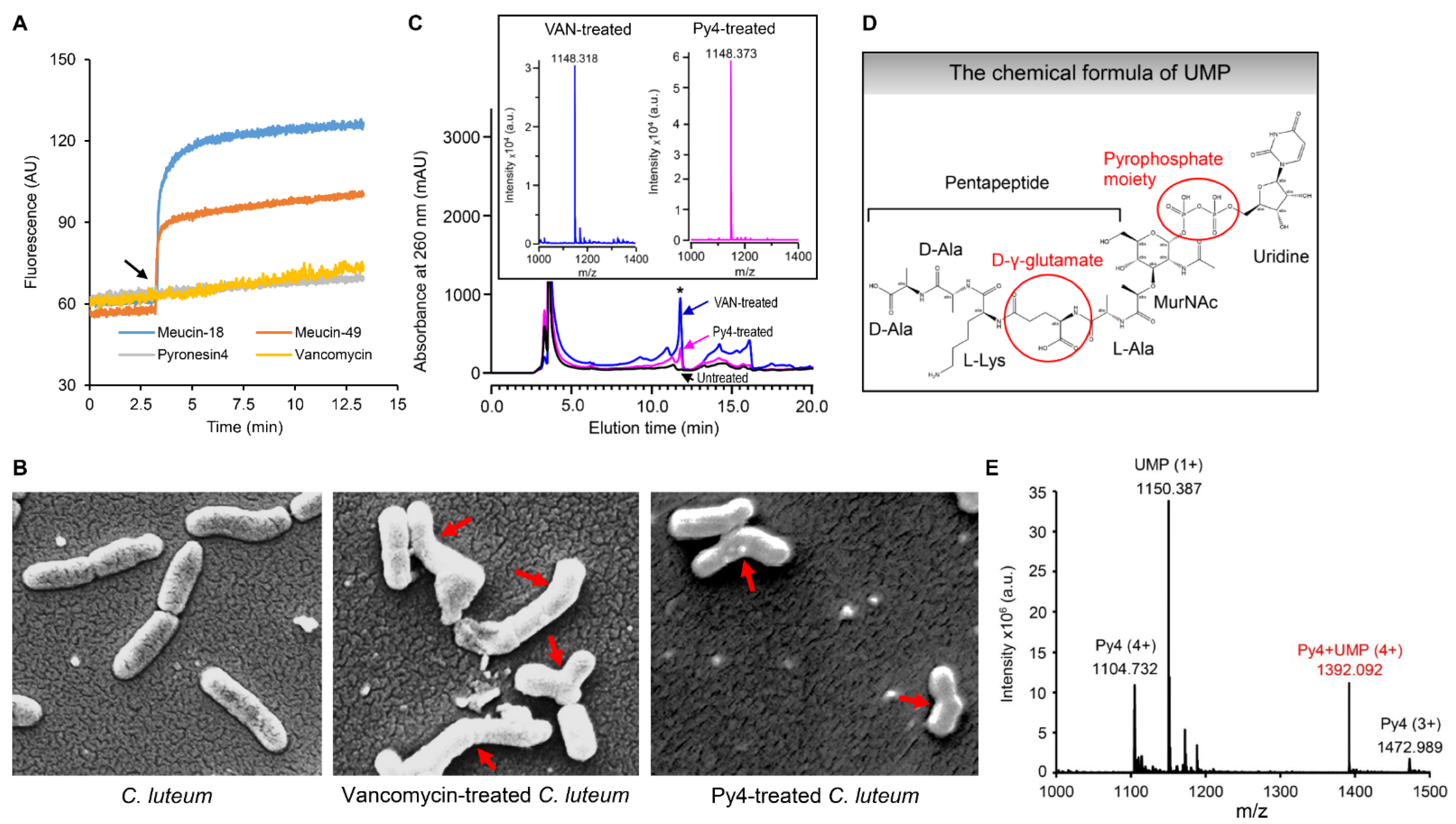 Jof 08 00174 g004 Jof 08 00174 g004