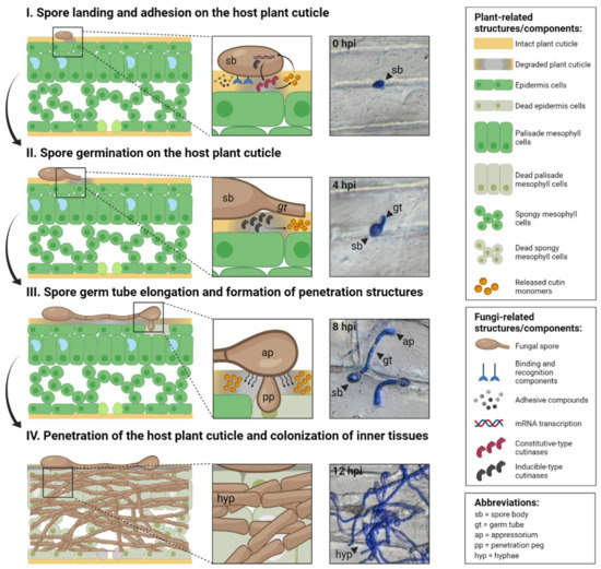 Jof 08 00199 g002 550