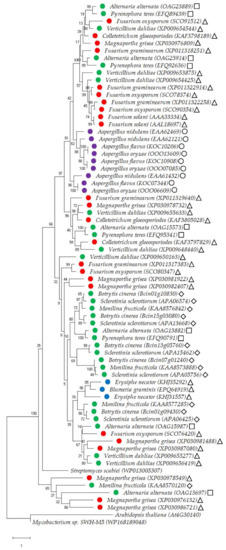 Jof 08 00199 g003 550