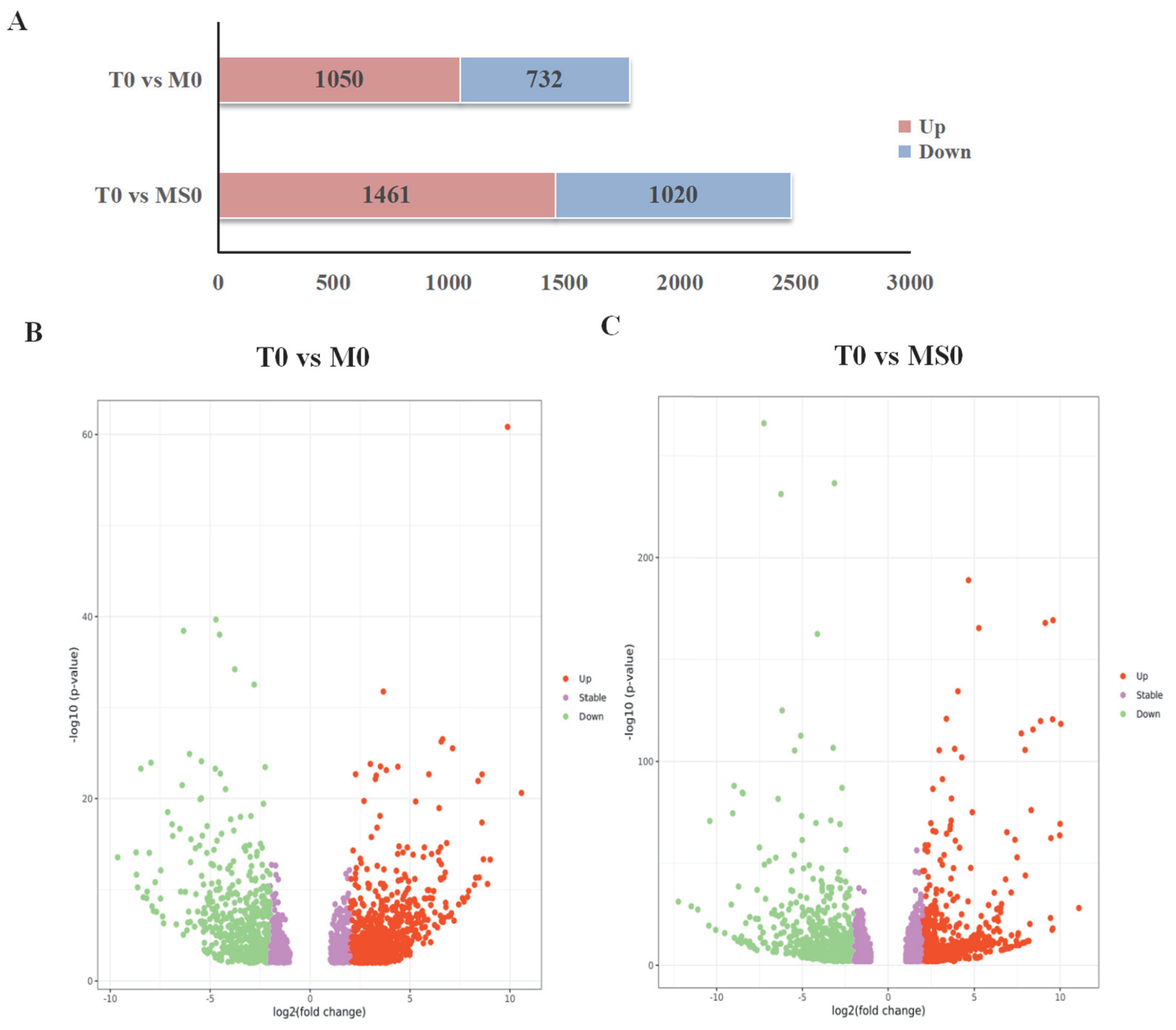 Jof 08 00207 g002 Jof 08 00207 g002