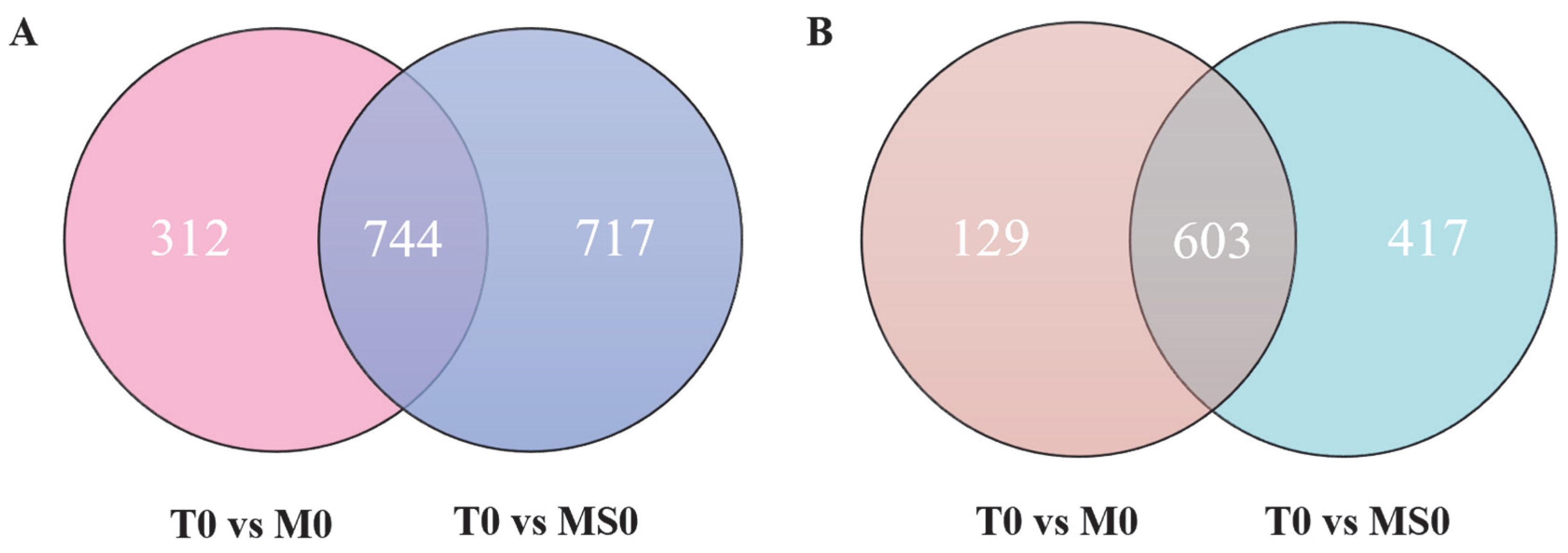 Jof 08 00207 g003 Jof 08 00207 g003