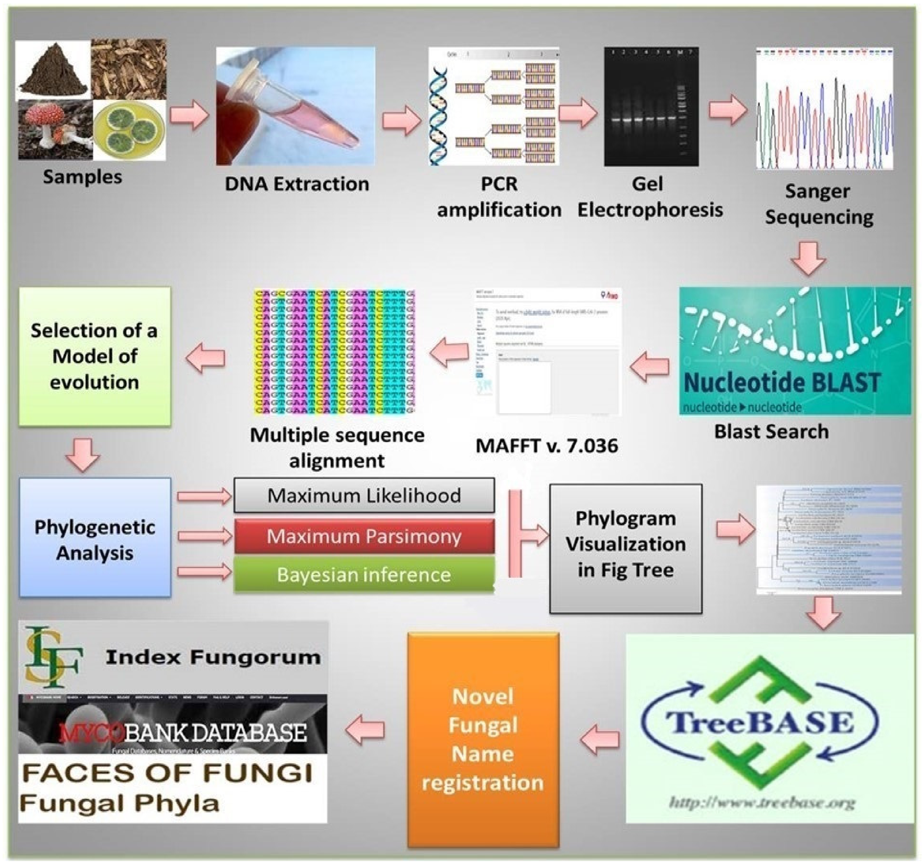 Jof 08 00226 g004 Jof 08 00226 g004