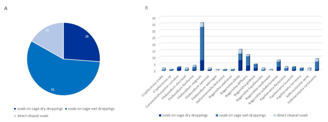 Jof 08 00227 g002 Jof 08 00227 g002