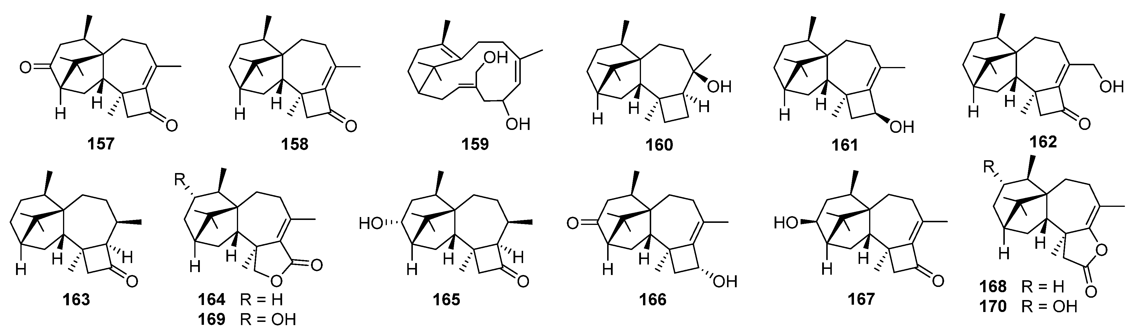 Jof 08 00244 i011 Jof 08 00244 i011