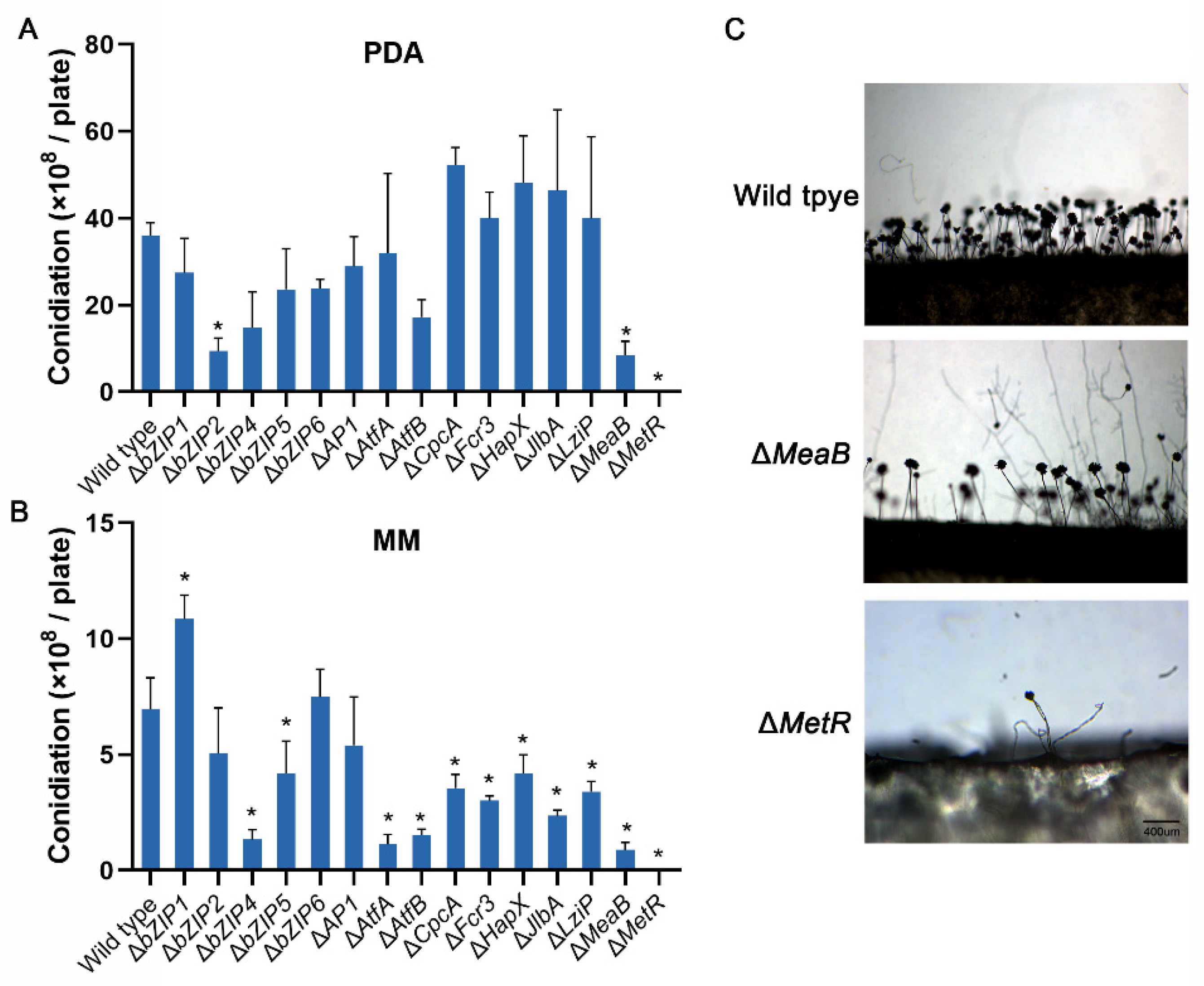 Jof 08 00356 g005 Jof 08 00356 g005