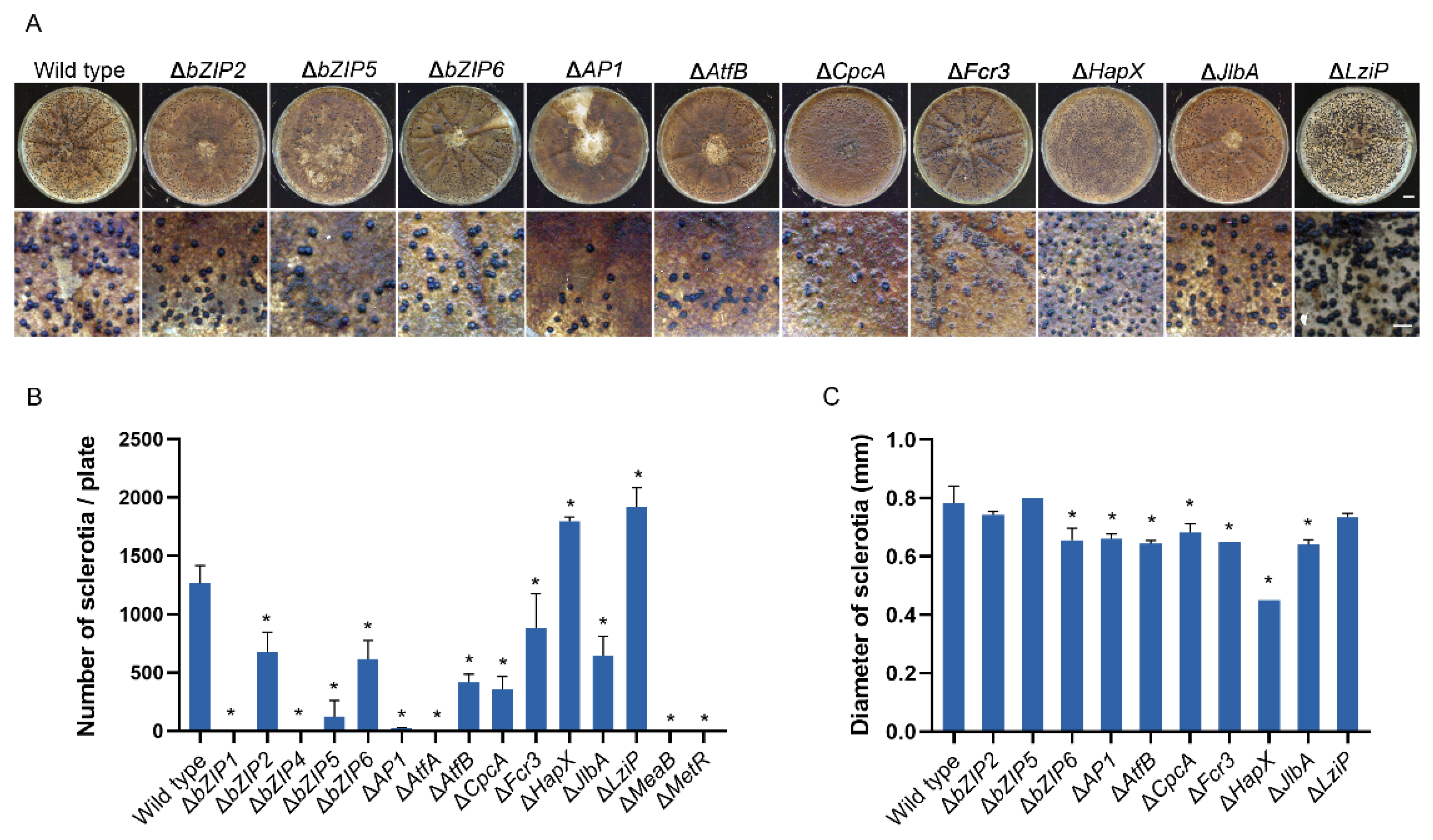 Jof 08 00356 g006 Jof 08 00356 g006