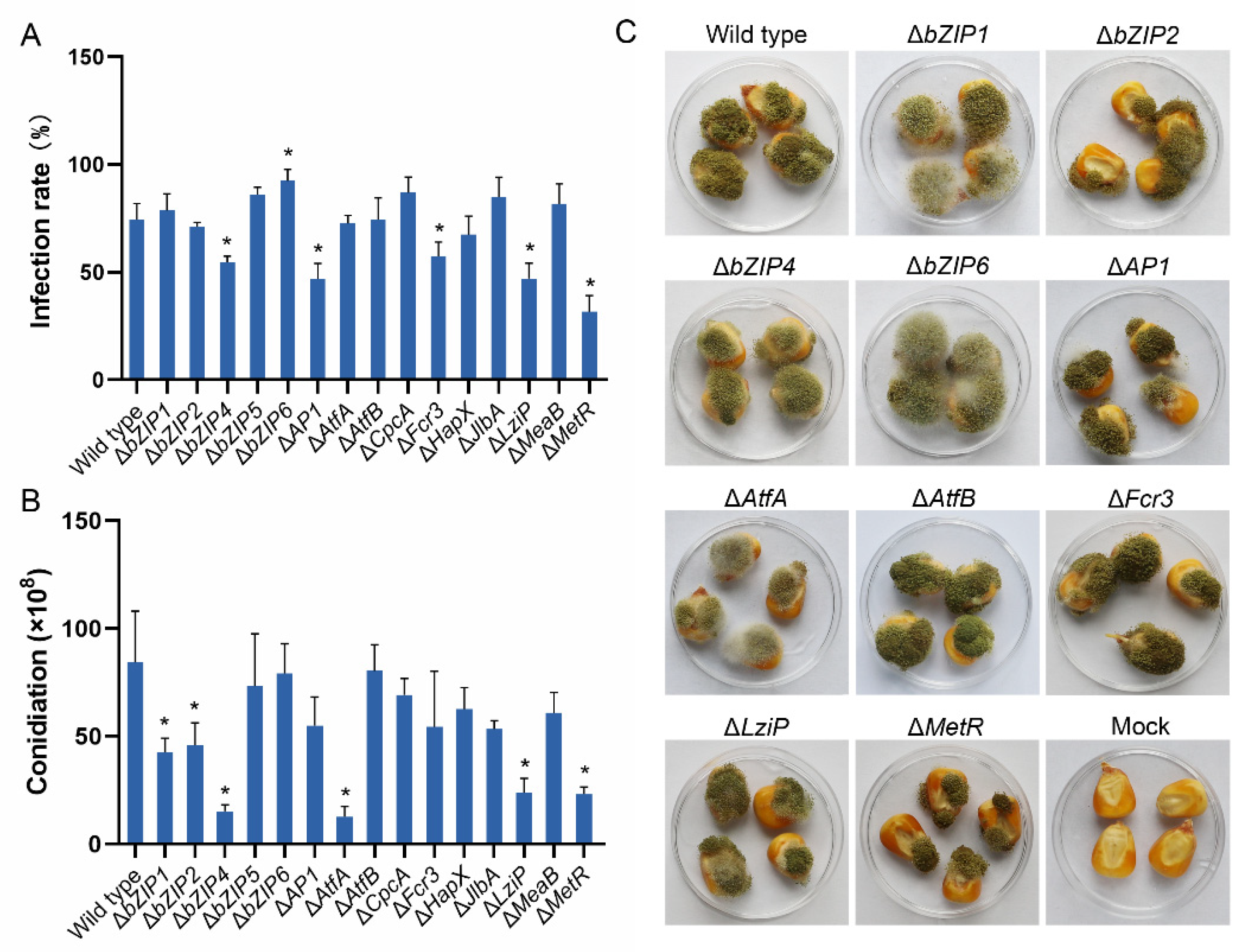 Jof 08 00356 g010 Jof 08 00356 g010