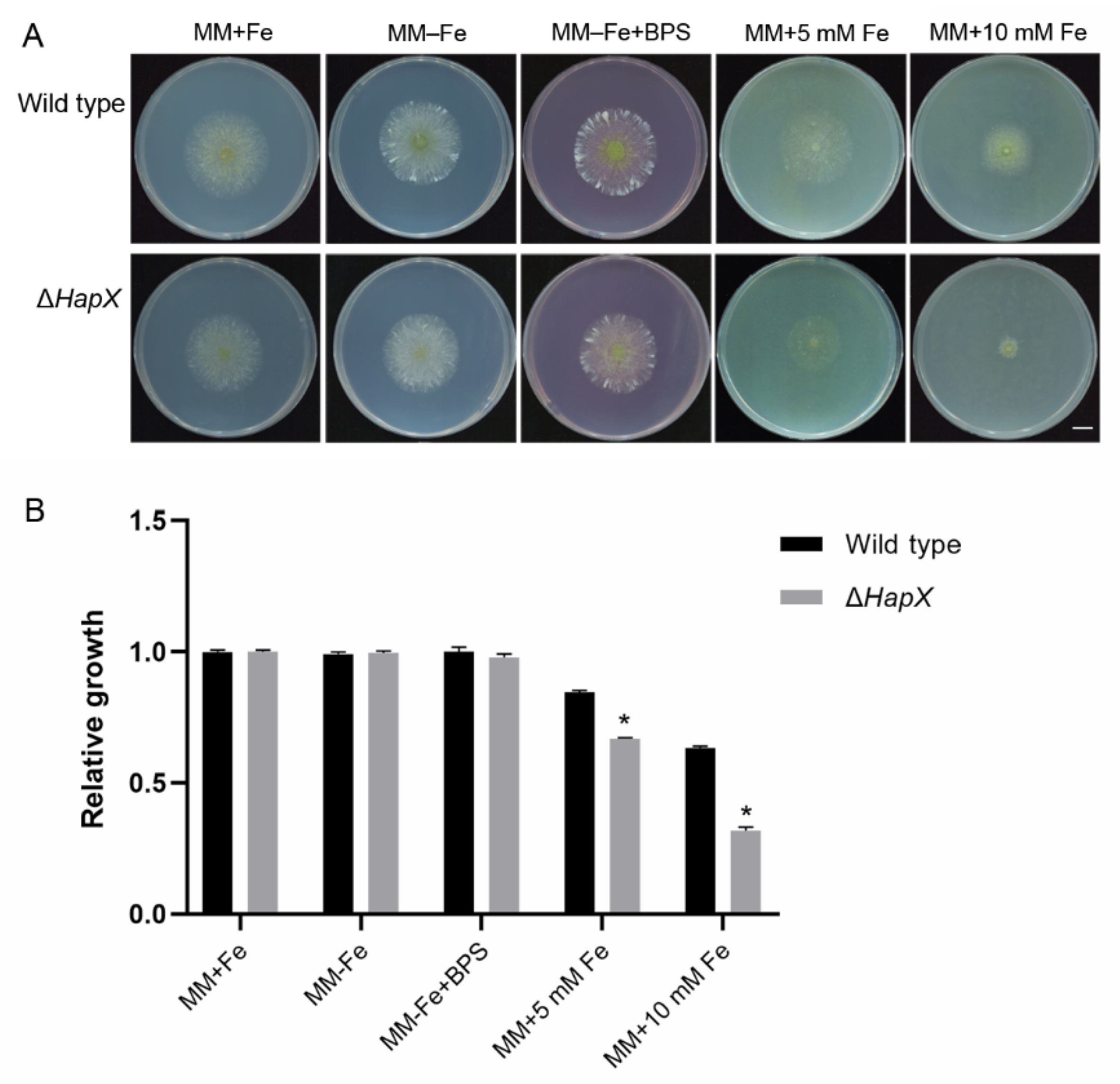 Jof 08 00356 g011 Jof 08 00356 g011