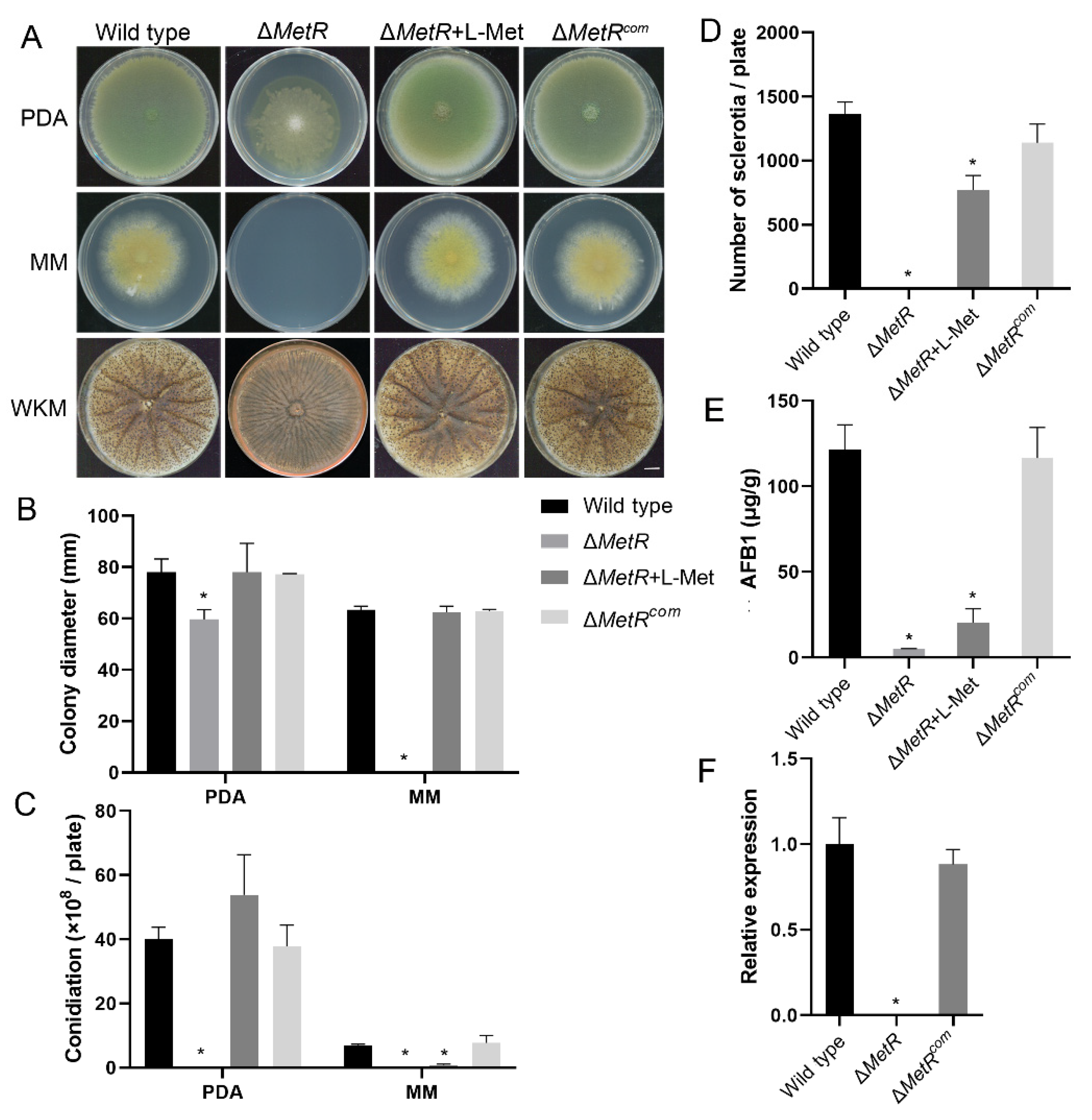 Jof 08 00356 g012 Jof 08 00356 g012