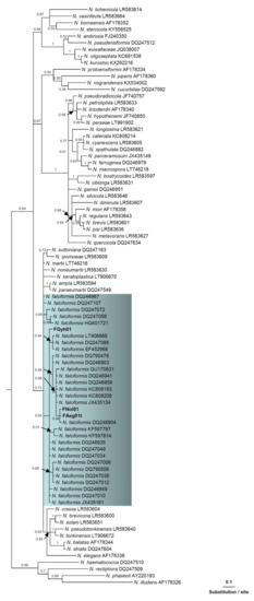 Jof 08 00364 g002 550