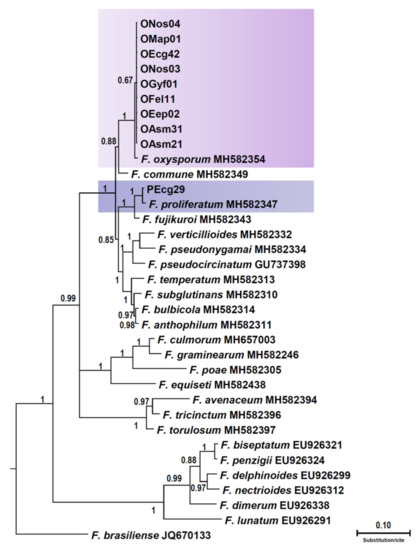 Jof 08 00364 g003 550