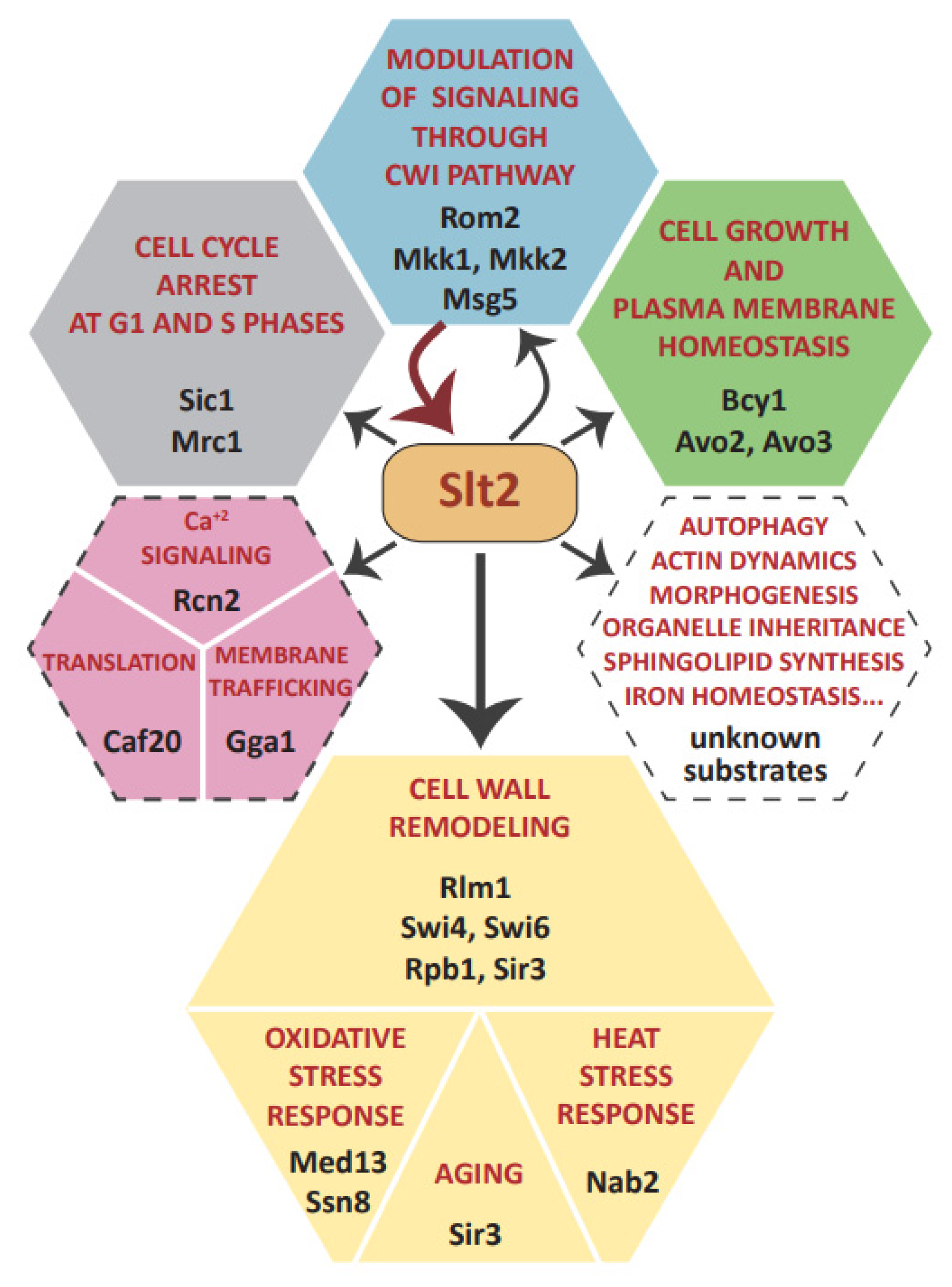 Jof 08 00368 g003 Jof 08 00368 g003