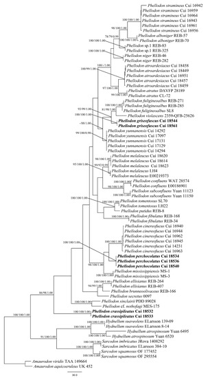 Jof 08 00429 g001 550