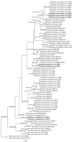 Jof 08 00429 g002 550